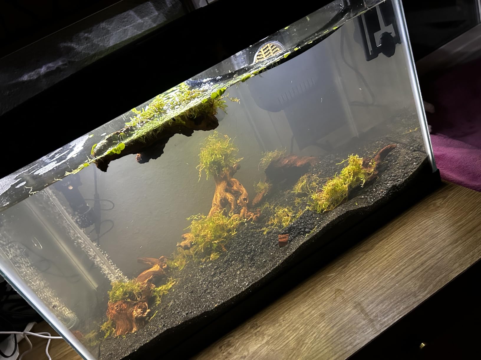 Aqueon Aquarium Starter Kit with Smart Clean Filtration and LED Lighting, Freshwater and Saltwater Fish, Perfect for Tetras, Guppies, Platies, 10-Gallon customer photo 1