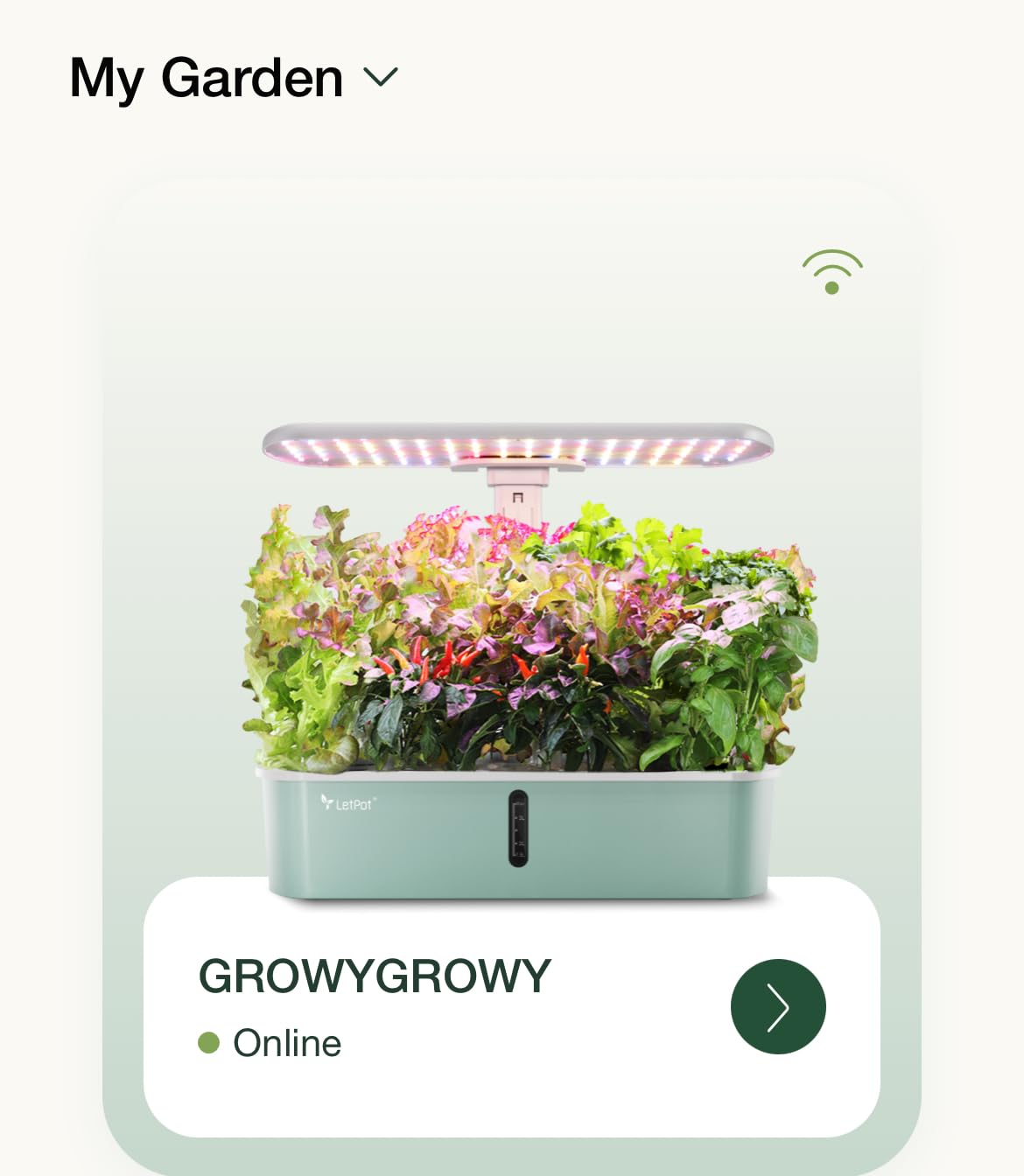 LETPOT LPH-Lite Hydroponics Growing System, 12 Pods Smart Herb Garden Kit Indoor, Indoor Garden, APP & WiFi Controlled, with 24W Growing LED, 5.5L Water Tank, Pump System, Automatic Timer customer photo 2