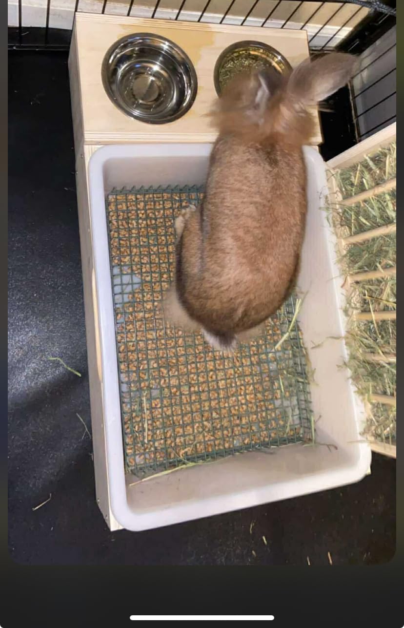 3 in 1 Extra Large Rabbit Hay Feeder with Litter Box, Wooden Bunny Toilet, for Large and Medium-Sized Dwarf Rabbit, Guinea Pig, Chinchillas, Hamster, Ferret, Other Animals customer photo 2