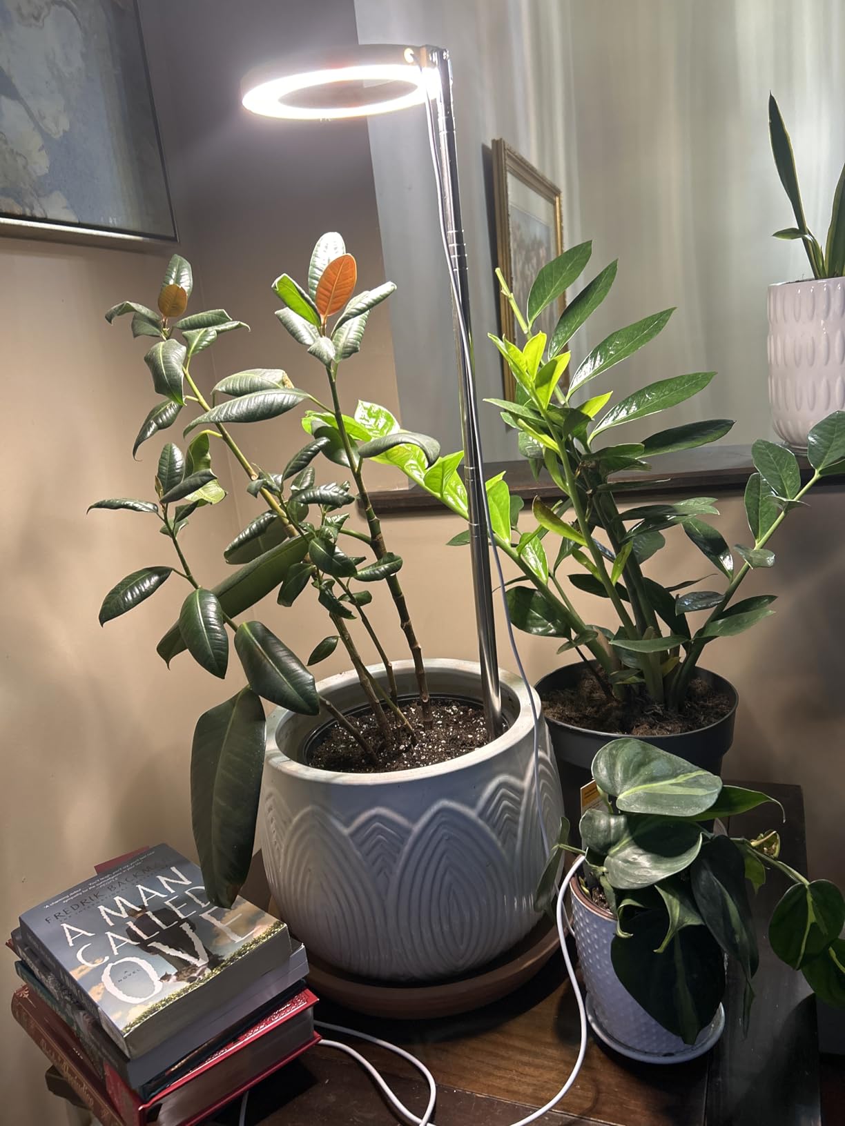 Grow Lights for Indoor Plants, Full Spectrum Plant Lights for Indoor Growing with 6/12/16H Timer, 3 Color Modes, 5 Brightness, 10