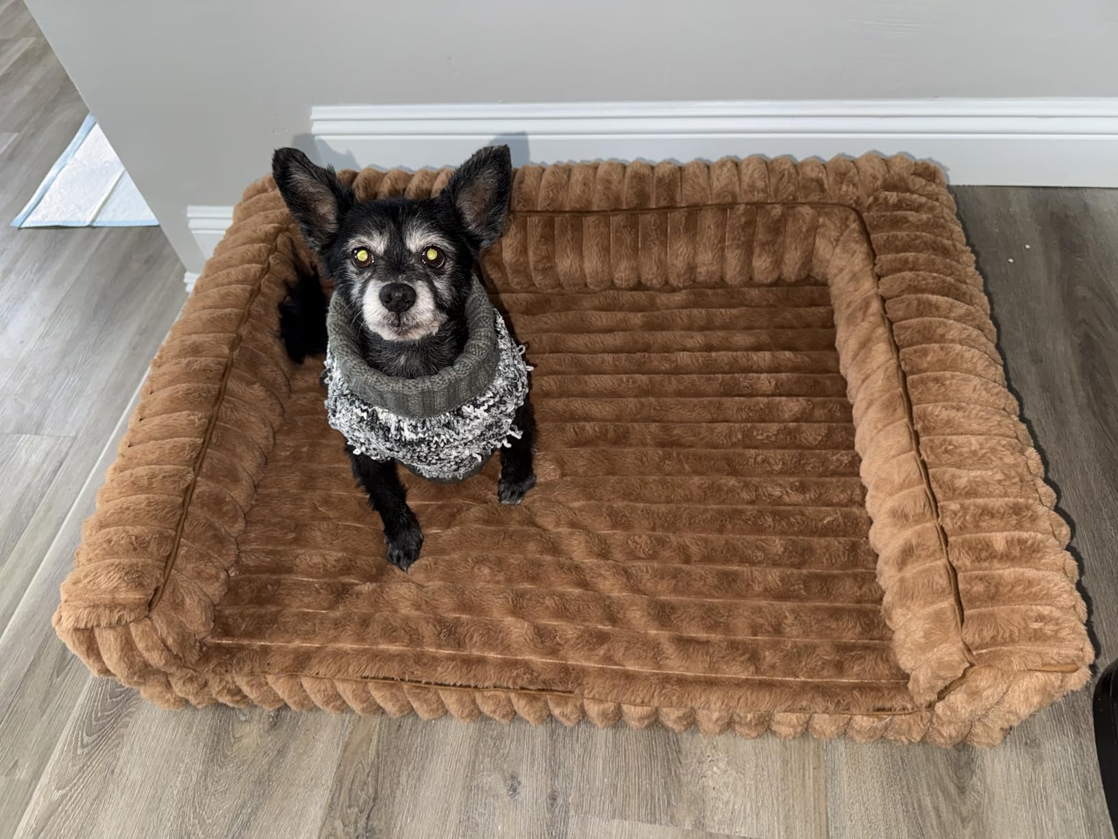 Bedsure ComfyFleece Orthopedic Dog Beds for Extra Large Dogs, Waterproof Memory Foam XL Pet Bed with Sides, Non-Slip and Egg-Crate Foam Big Dog Couch Sofa with Washable Corduroy Cover, Grey customer photo 2