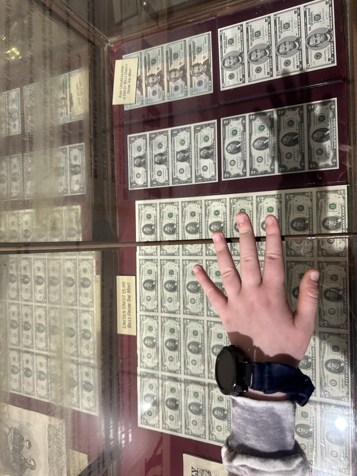 Assistive Technology Watch with GPS Tracker for Special Needs, Autism, Elderly with Dementia or Alzheimer's - SOS Button, 2-Way Speakerphone, Live Tracking Alerts, AI-Powered - Subscription Required customer photo 1