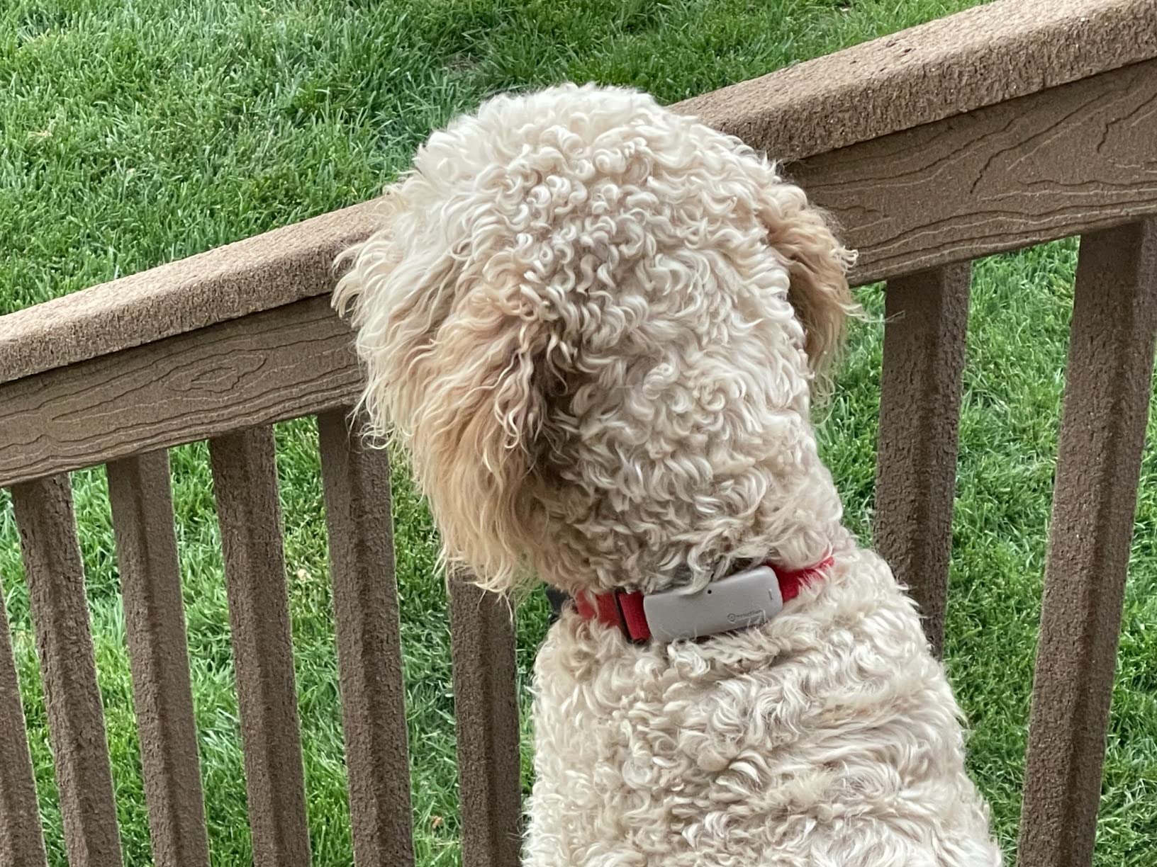 Tractive GPS Dog Tracker (2025 Release) Real-time Pet Location Tracker | Health & Wellness Alerts | Virtual Fence for Dogs | Bark Monitoring (Brown w/Olive Cover) customer photo 1