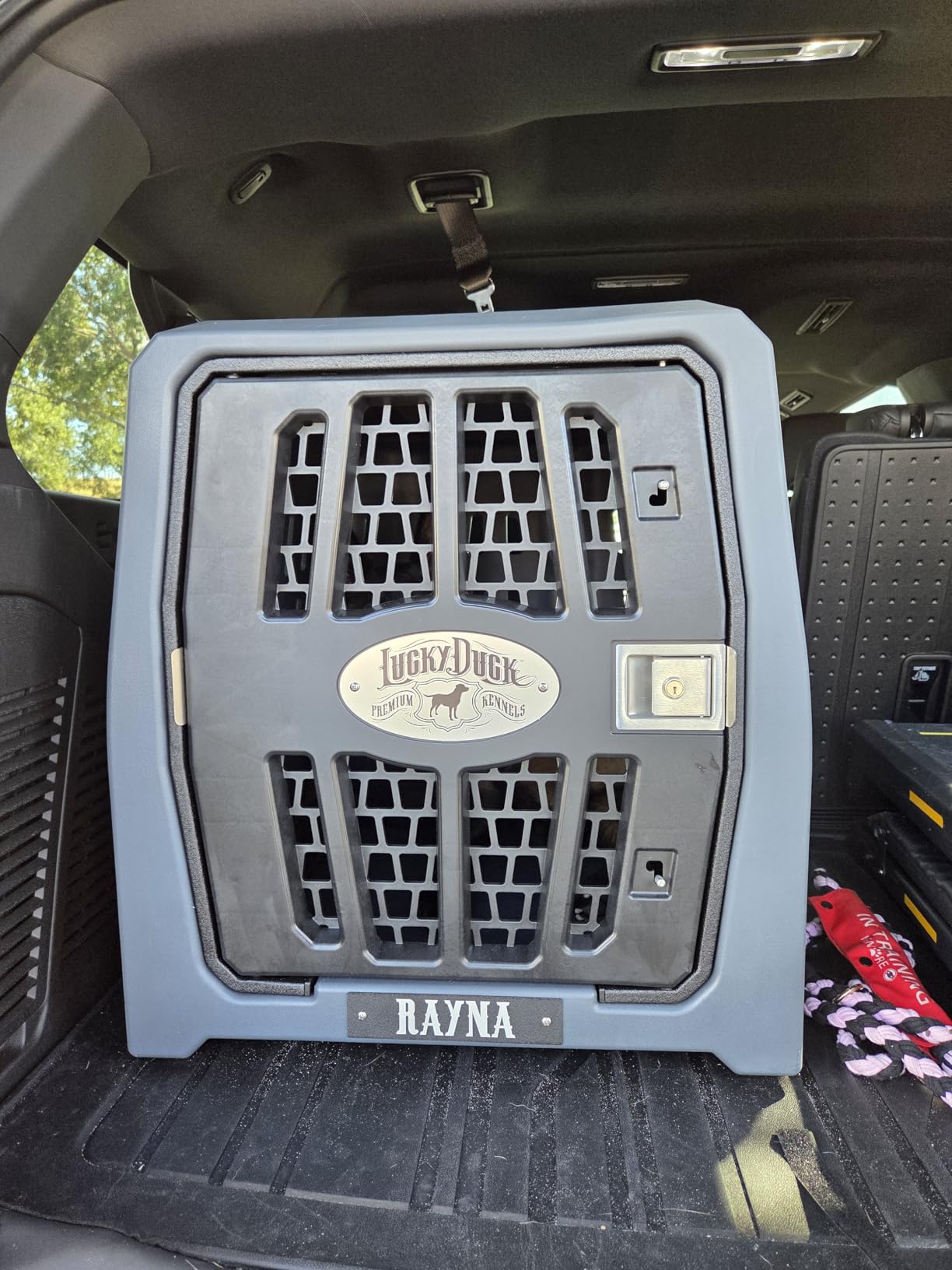 Lucky Dog Kennel Crash-Tested Portable Crate Intermediate customer photo 1