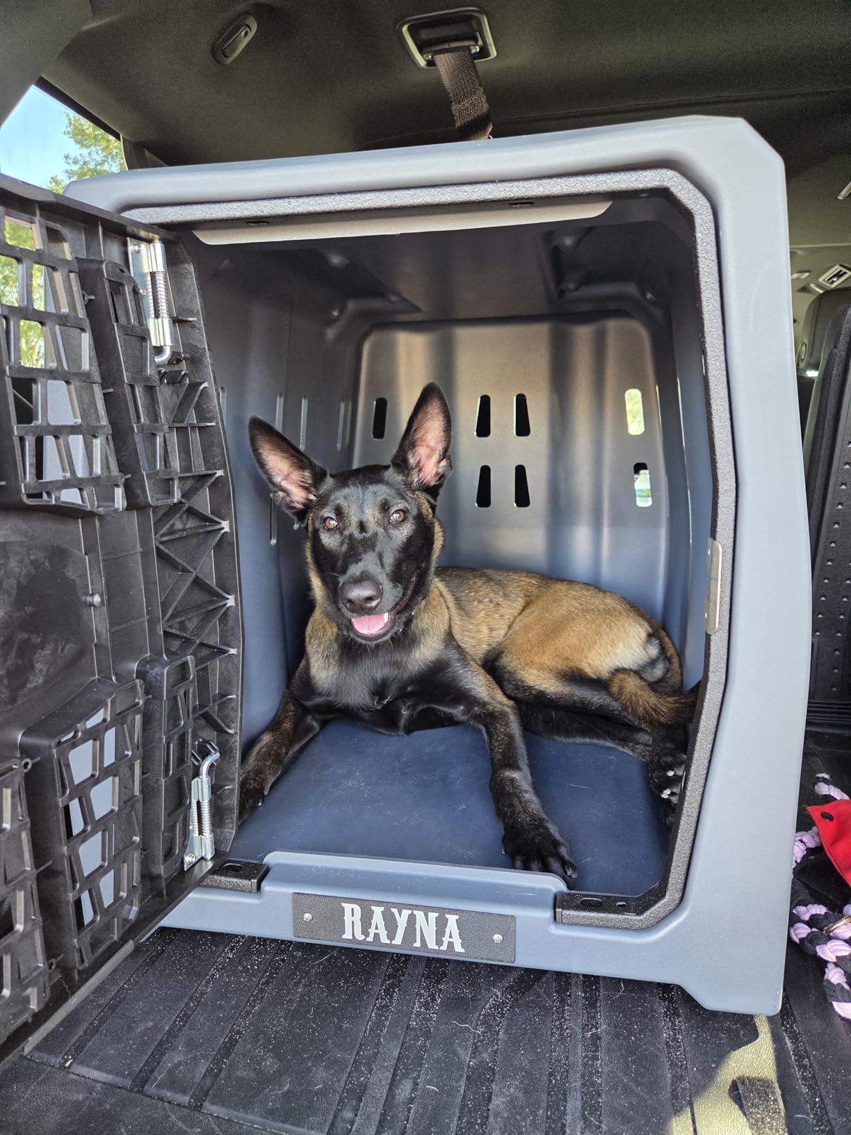 Lucky Dog Kennel Crash-Tested Portable Crate Intermediate customer photo 2
