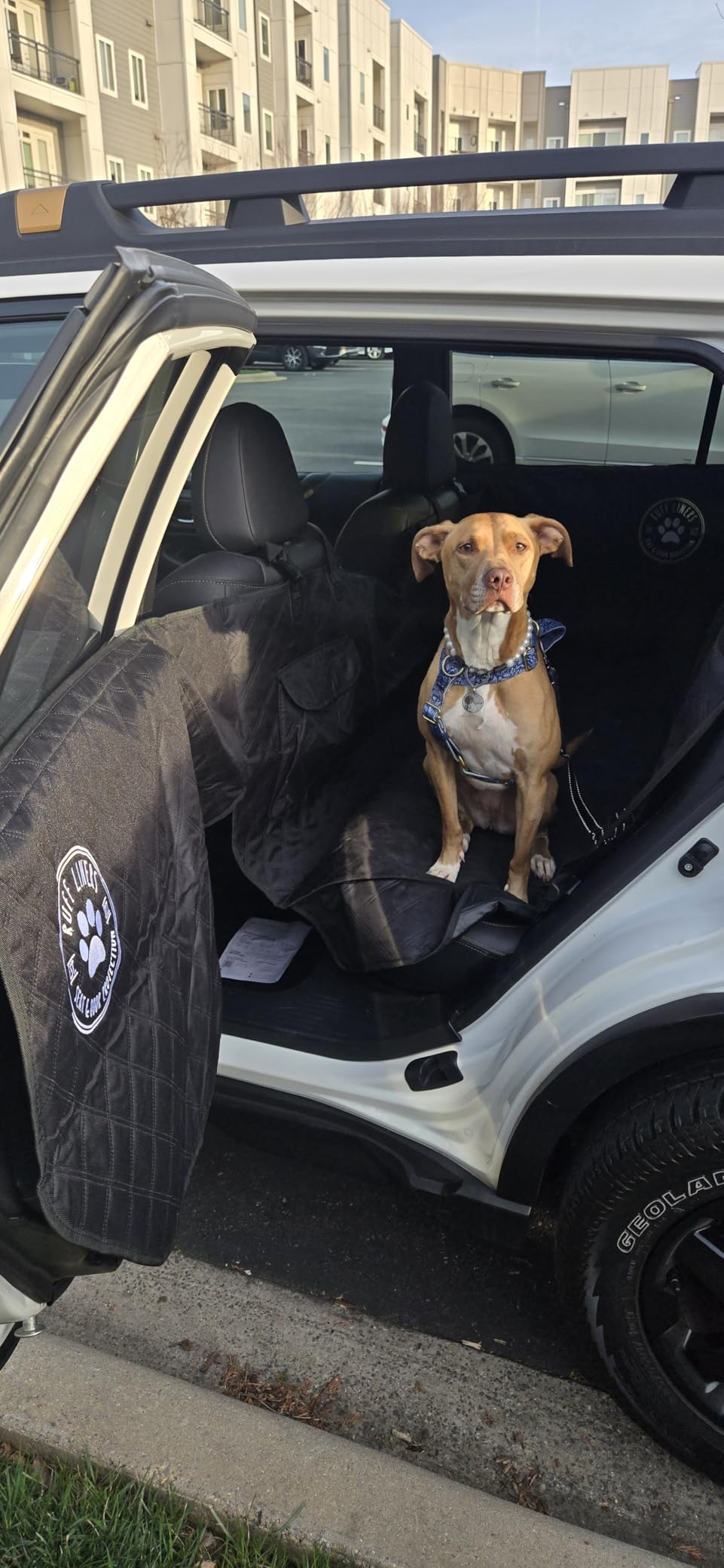 Ruff Liners Large Dog Seat Cover, Black - Back Seat Protector for Full-Size Trucks - Waterproof, Machine-Washable, Touch Fasteners, & Belt Slots - Heavy-Duty Dog Hammock customer photo 1