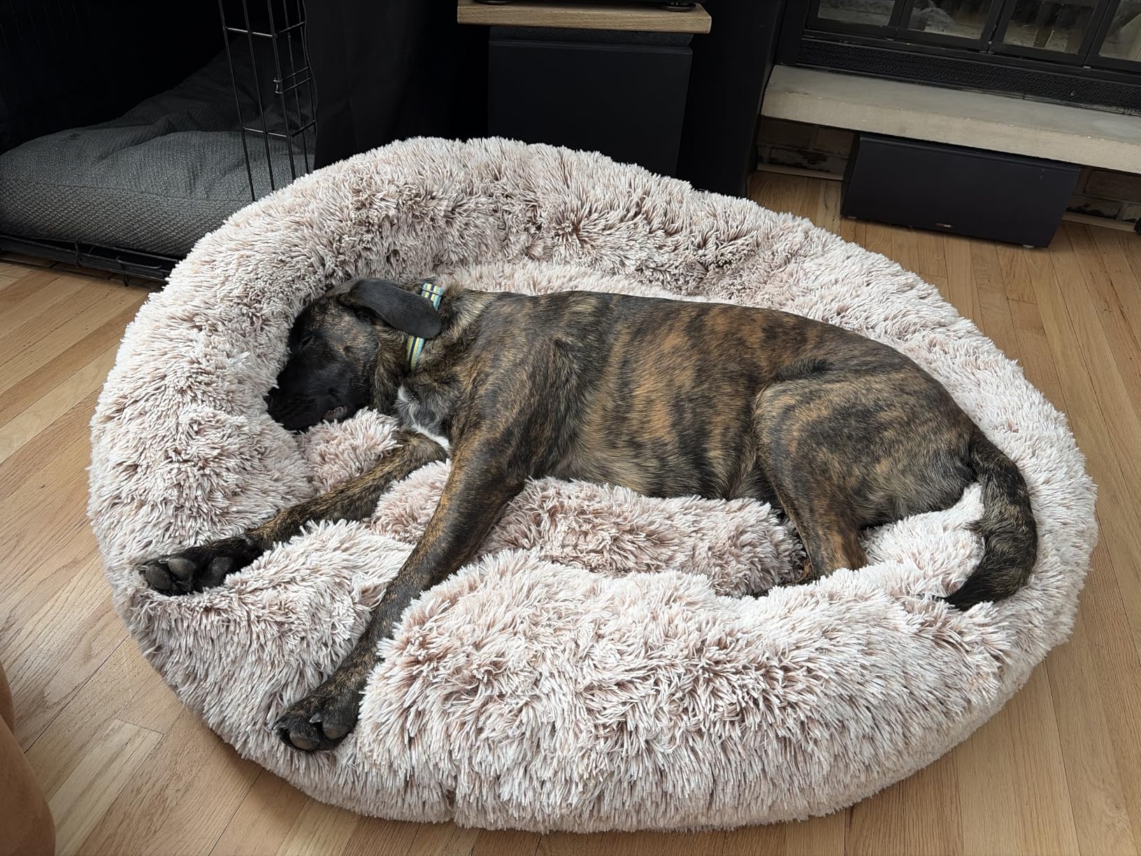36 inches Donut Dog Bed for Large Dogs - Calming Fluffy Round Pet Bed with Removable & Washable Cover, Fits up to 80 lbs Pets (Dark Grey, Large) customer photo 1