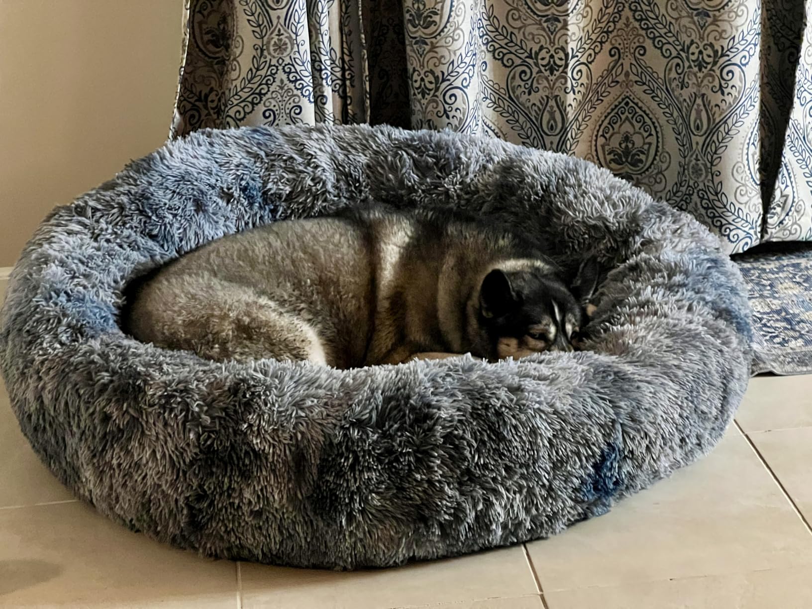 36 inches Donut Dog Bed for Large Dogs - Calming Fluffy Round Pet Bed with Removable & Washable Cover, Fits up to 80 lbs Pets (Dark Grey, Large) customer photo 2
