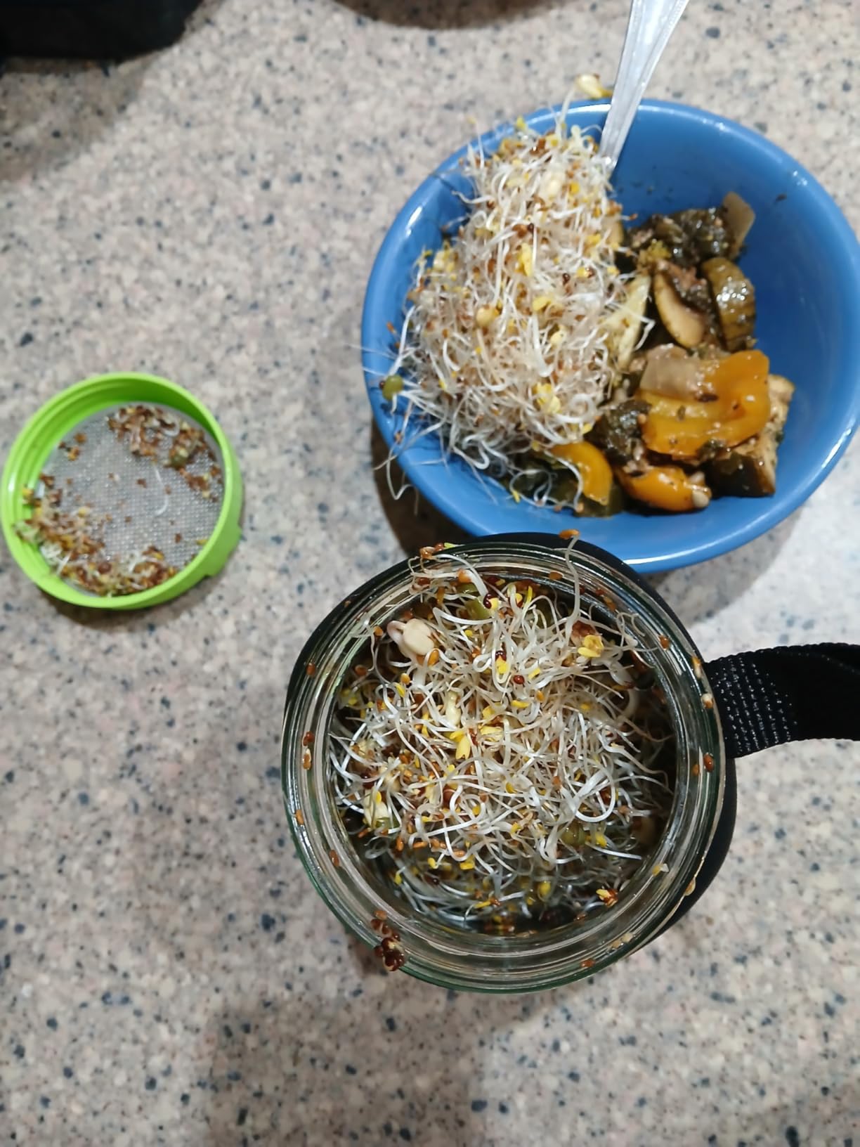 Lulonpon Sprouting Kit, 4 Sprouting Jar Kits, Wide Mouth Quart Mason Jars with Stainless Steel Screen Sprout Lids,1000ml Sprouts Growing Kit, Seed Sprouter Set for Growing Broccoli, Bean, Alfalfa customer photo 2