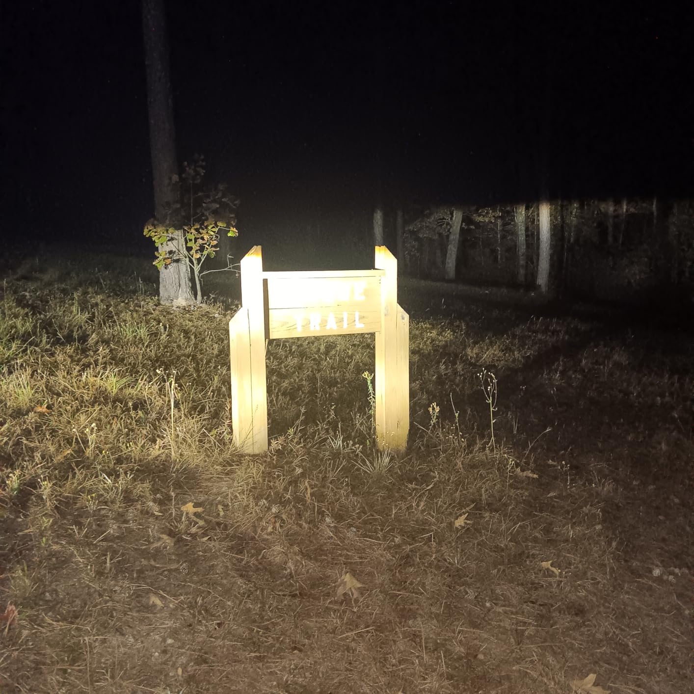 Solar Camping Lantern 4-Pack - Rechargeable LED Lights, Magnetic Base & Foldable Hanging Hook- Collapsible Lamp Battery Powered Perfect for Power Outages, Hiking, Campsites, Emergencies customer photo 2