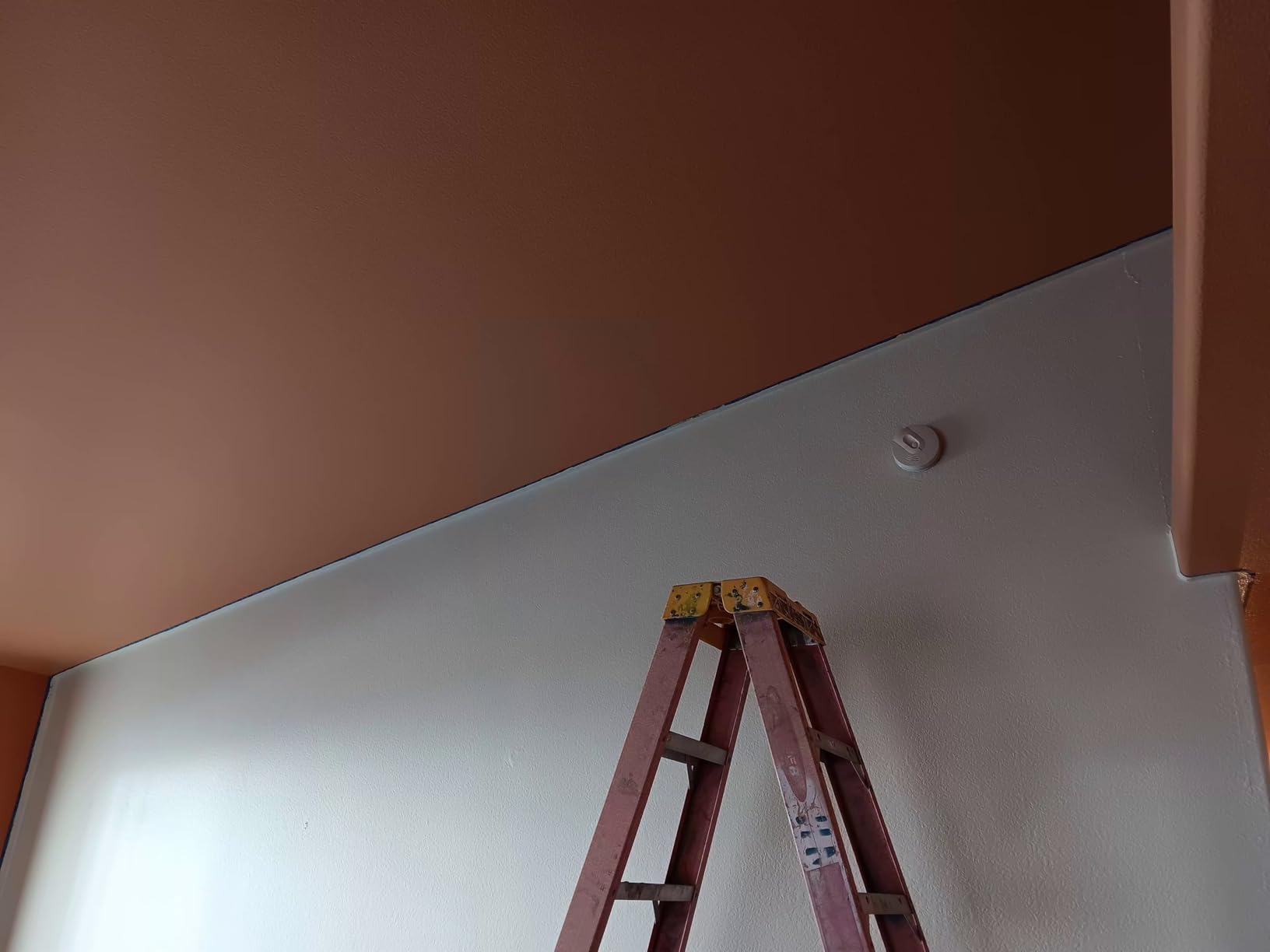 Painter's Trim Guard 12 Inch Paint Shield, Edge Painting Tool for Walls, Professional Paint Edger Tool for Precise Trimming(Yellow) customer photo 2