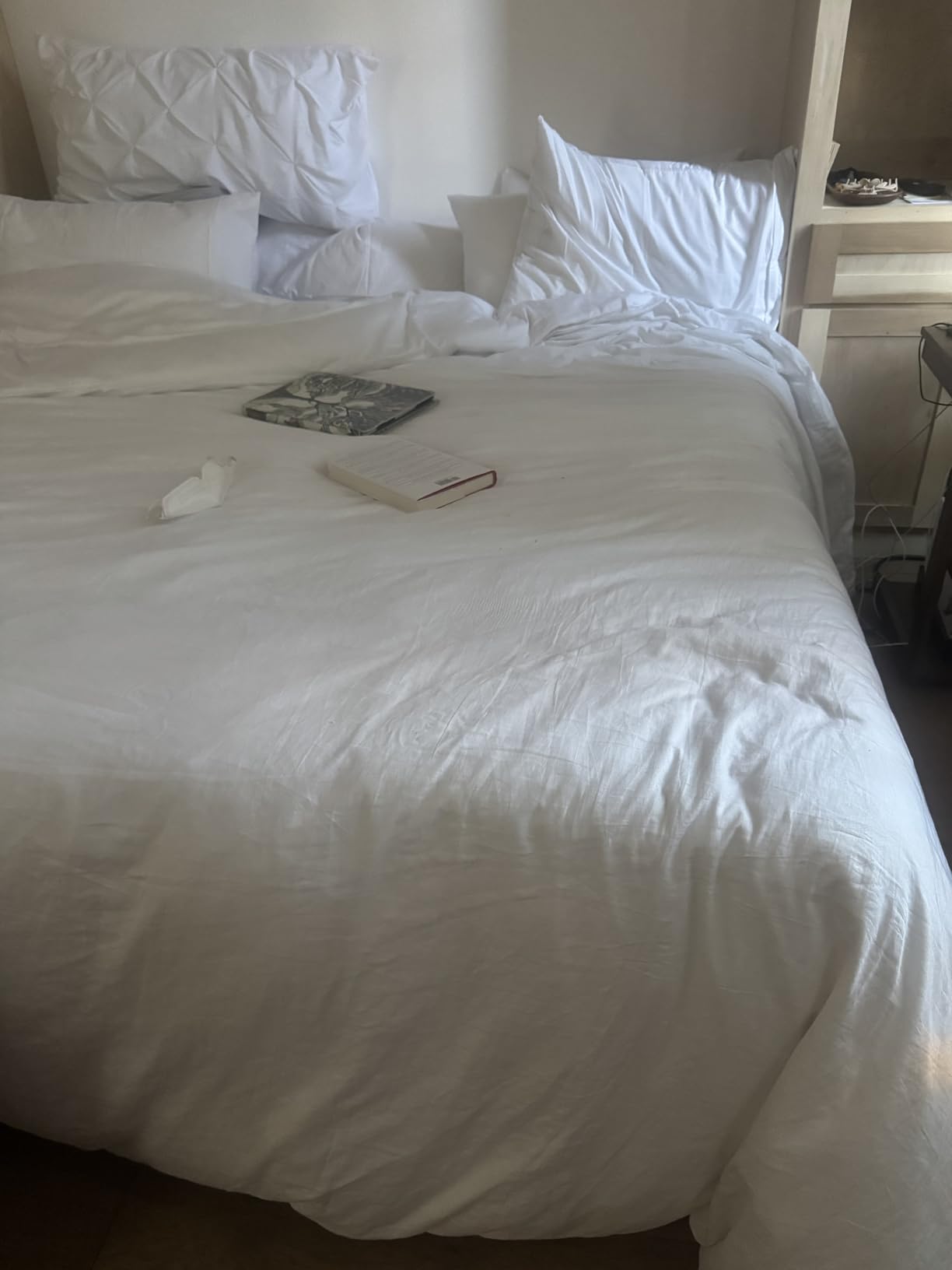 L LOVSOUL Goose Feather Down Fiber Comforter Queen Size, 100% Organic Cotton Fabric Duvet Insert, 1200TC, 750+ Fill Power, Hotel Collection, All Season White Bedding Comforters with 8 Tabs customer photo 1