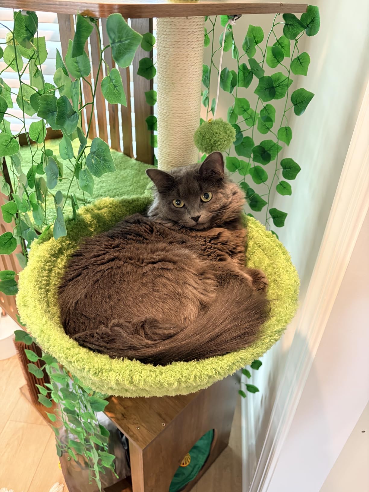 FourFurPets Large Cat Tree with Leaves, 72.8-Inch Cat Tower for Indoor Cats, Modern Cat Tree with Scratching Post, Large Perch, Tunnels, Swing Ball, Self Groomer, Greige customer photo 1