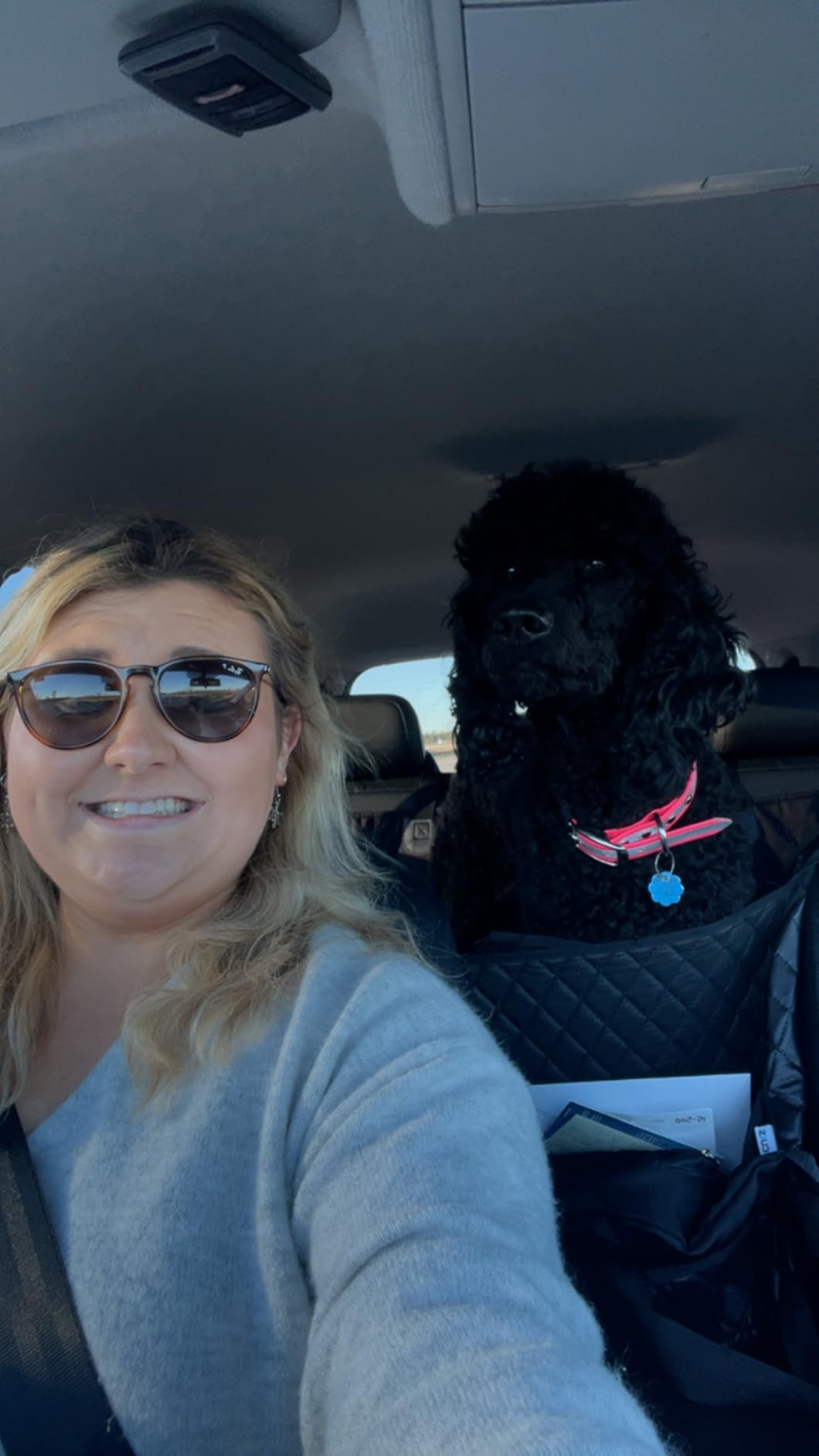 High Velocity Dog Hair Dryer 5.2HP/ 3800W Professional Dogs Blower Grooming Dryer, Adjustable Temperature and Speed Pet Dryers with 4 Nozzles and a Comb, Black customer photo 2