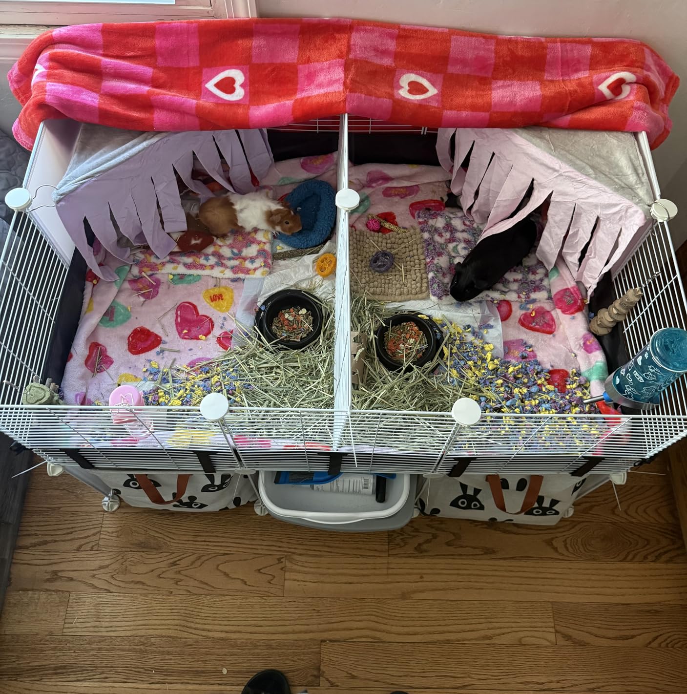 MEEXPAWS Guinea Pig Cages Small Animal Playpen with Waterproof PVC Liner & Washable Pee Pad & Storage Space, C&C Cage for Guinea Pigs, Hedgehog, Hamsters, Ferrets,Indoor Enclosure Wire Yard Playpen customer photo 1