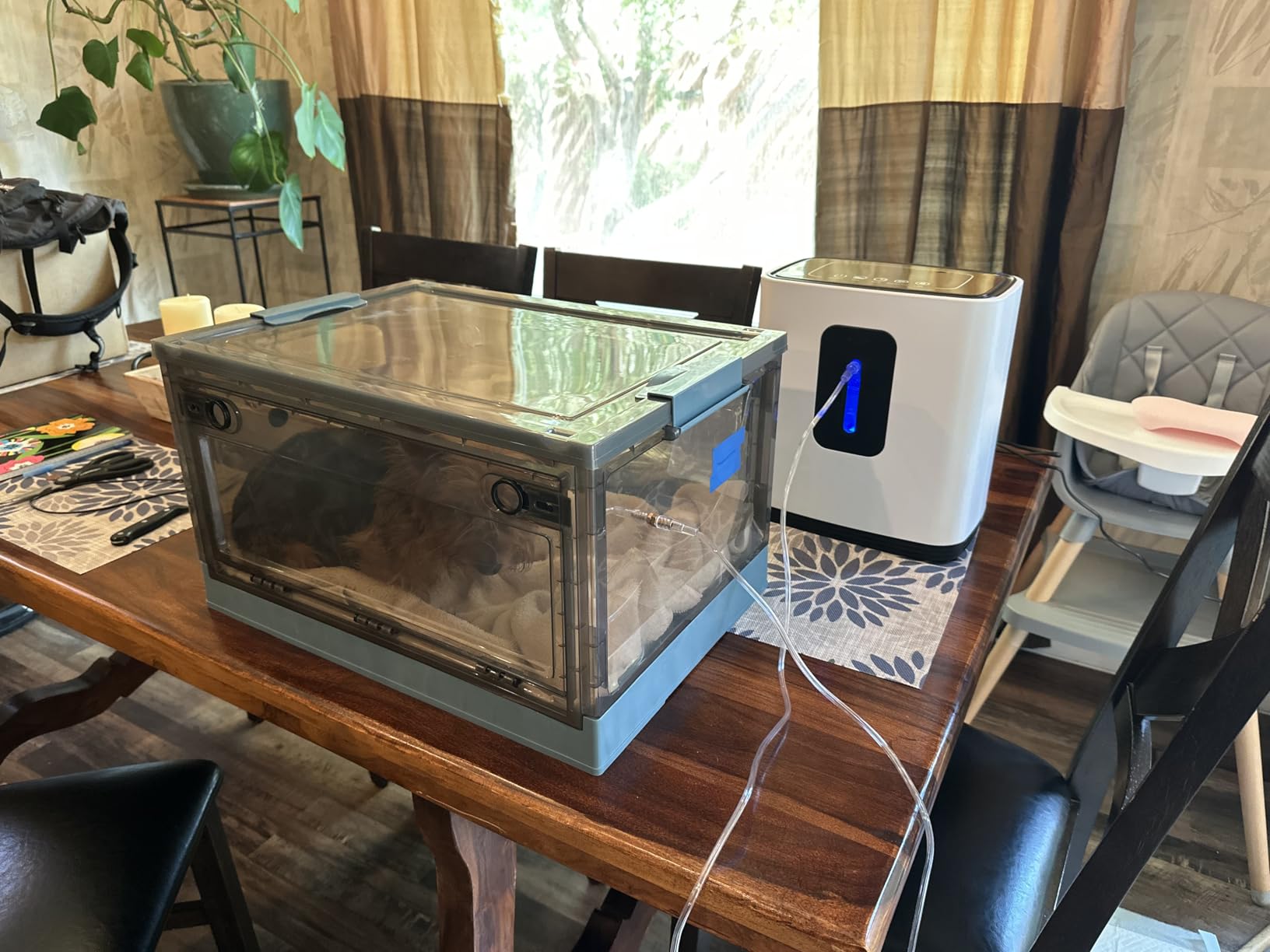 Pet Atomization Nest, Dedicated Folding Oxygen Tent, ICU Cage Cough Breathing Medical Box, Large PET Brooder Nursery for Cough Breathing Treatment Nebulization Box (Blue, Medium) customer photo 1