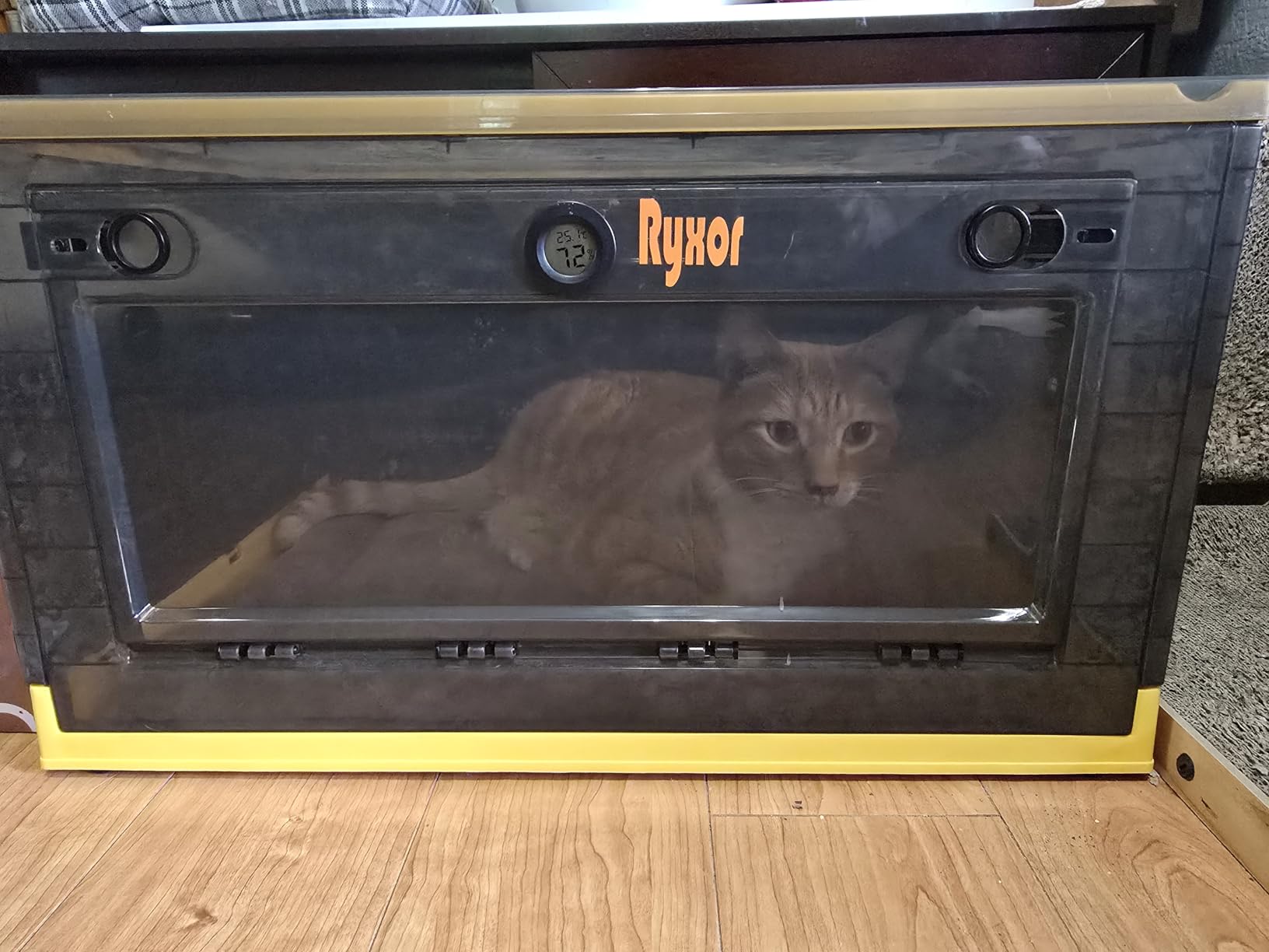 Pet Atomization Nest, Dedicated Folding Oxygen Tent, ICU Cage Cough Breathing Medical Box, Large PET Brooder Nursery for Cough Breathing Treatment Nebulization Box (Blue, Medium) customer photo 2