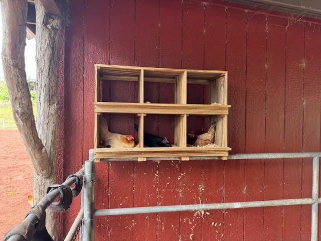 Nesting Boxes for Chickens 8 Compartment, Wall-Mounted Wooden Chicken Nesting Box, Ensuring Comfortable Egg Laying, Preventing Egg Falls, Perfect for Backyard and Poultry Farms customer photo 1