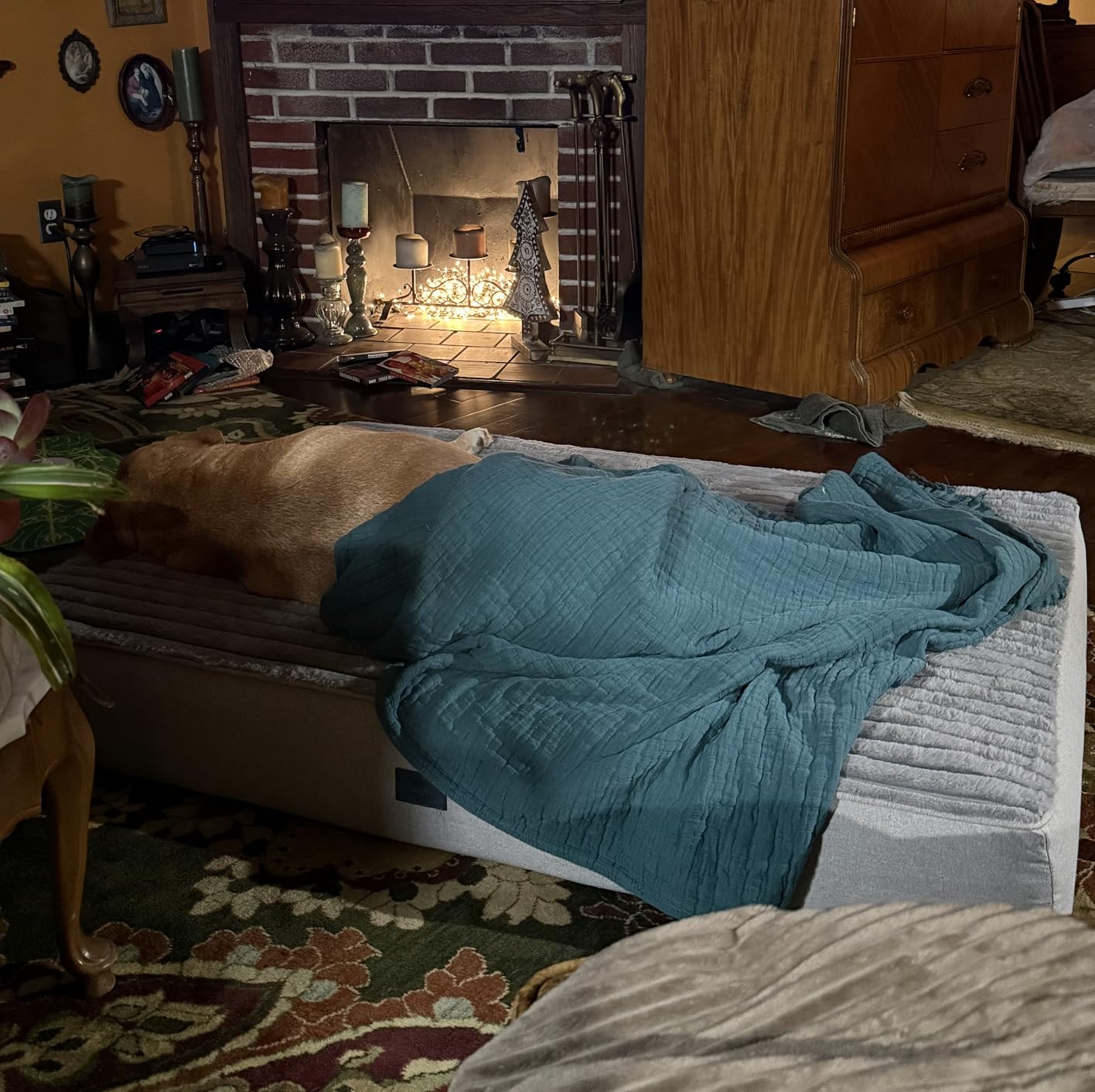 Veehoo Orthopedic Memory Foam Dog Bed, 7 Inch Thick Extra Large XXL Dog Bed for Senior Dogs with Ultra-Soft Fluffy Surface, Waterproof Liner, Removable Washable Cover and Non-Slip Bottom, 52x36x7 inch customer photo 2