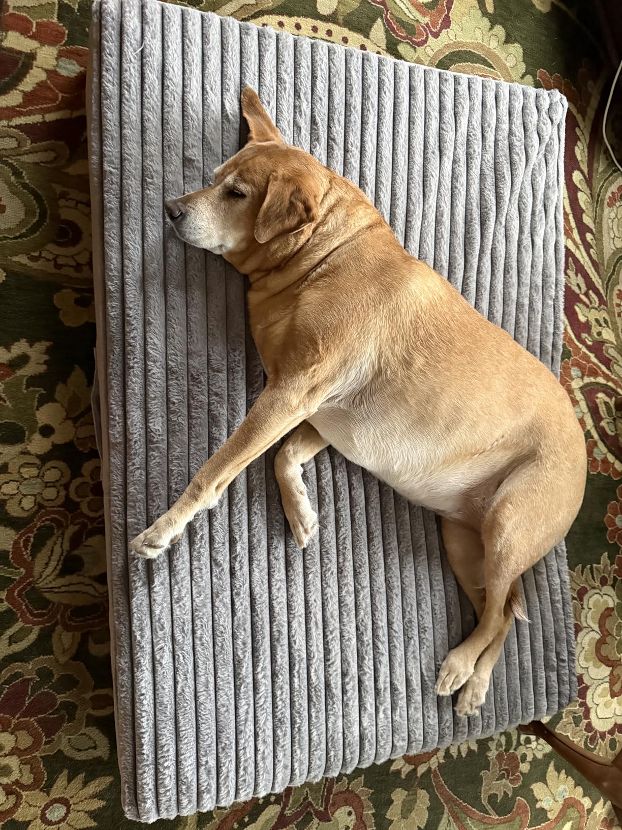 Veehoo Orthopedic Memory Foam Dog Bed for Senior Dogs, 7