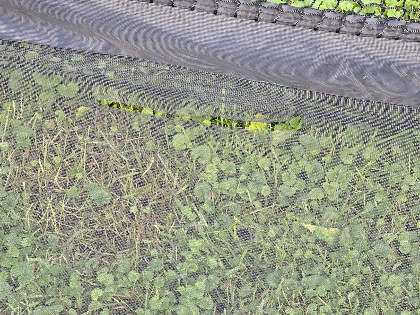 Golf Simulator Cage with Side Barriers&Impact Screen - 10x8 FT Golf Net with Dual-Layer HD Simulator Screen for High-Speed Shots, Practice Net with Ball Return for Indoor Outdoor Backyard customer photo 2