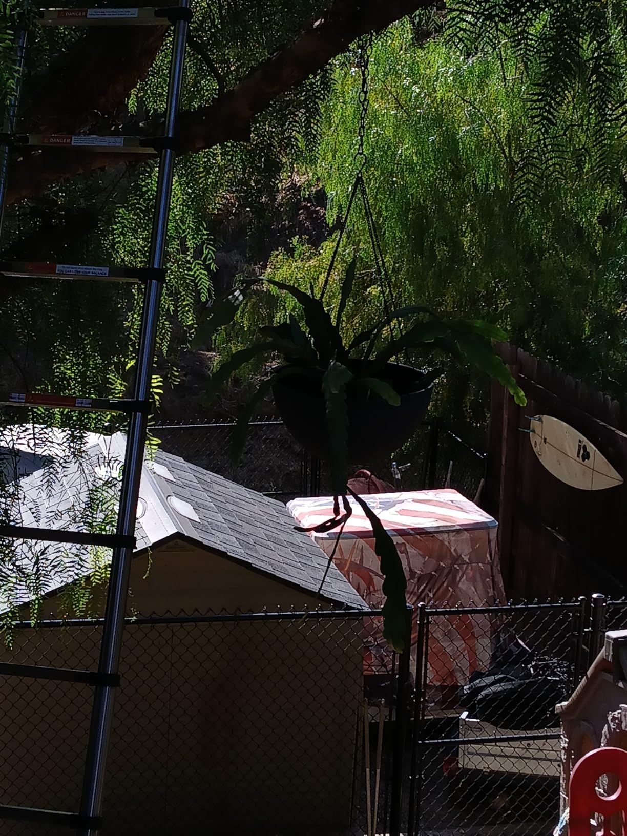 VEVOR Telescoping Ladder, 8.5ft Stainless Steel Lightweight Extension Ladder, Multi-Button Retraction Collapsible Ladders, 330LBS Capacity & Non-Slip Feet, Portable 9-Step Ladders for Home, RV, Loft customer photo 1