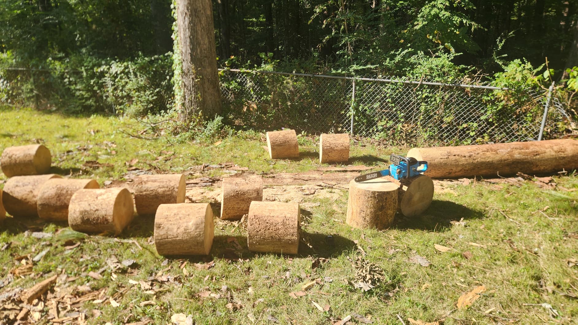 SEESII 40V 16-Inch Cordless Chainsaw: Brushless Electric Chain Saws with 2x4.0Ah Batteries & Charger, Tool-Free Chain Tension, Auto Oiling, for Tree Trimming, Wood Cutting, Yard Work customer photo 2