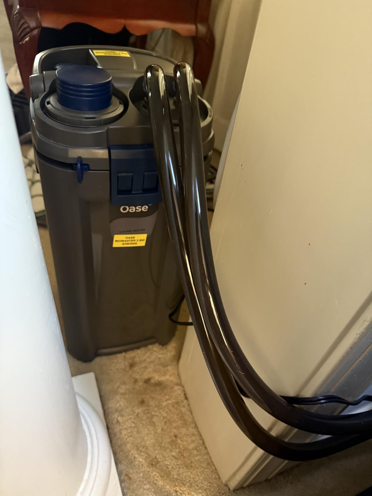 OASE BioMaster 2 250 Canister Filter for Aquariums - External Aquarium Filter with EasyClean Pre-Filter - Quiet Performance - Freshwater & Saltwater, Up to 70 Gallons customer photo 2