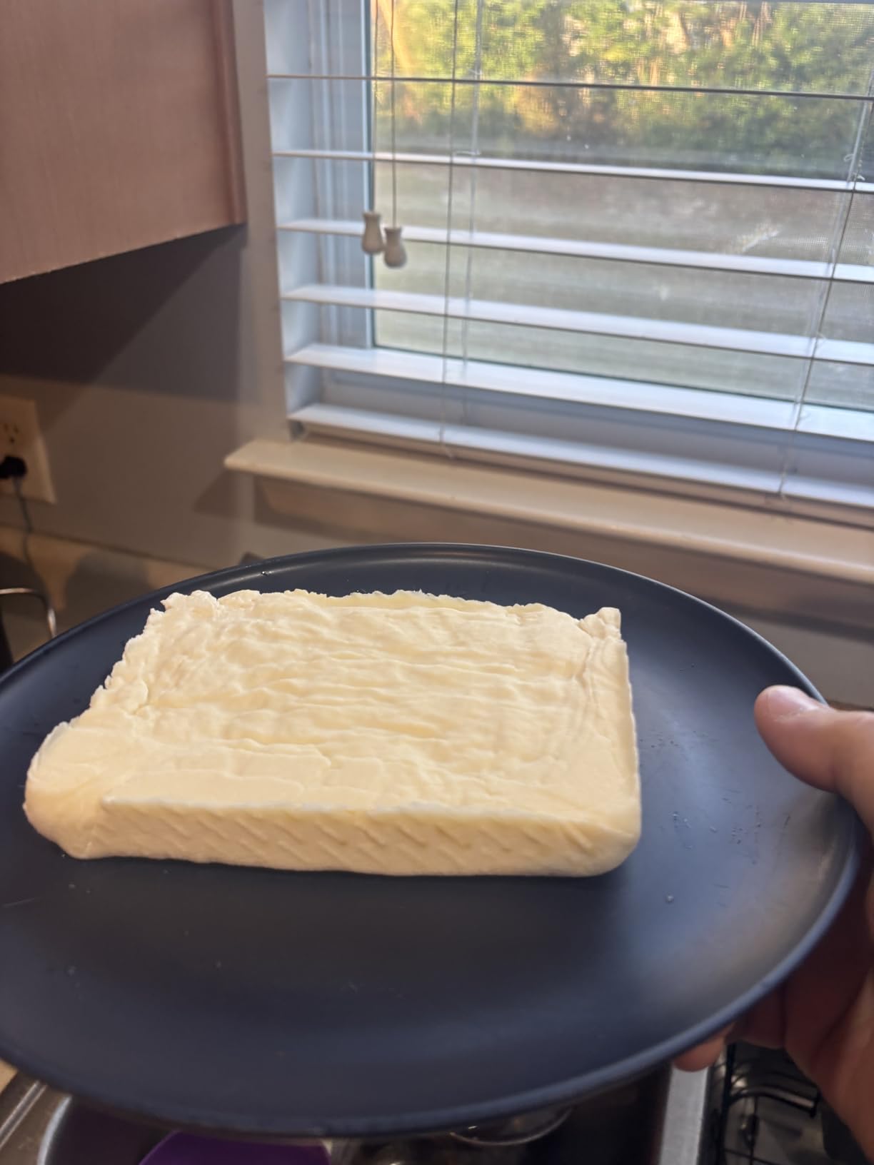 Tofu Press Stainless Steel Paneer Maker - Cheese Press Prensa Para Queso for Homemade Tofu, Paneer，Easy to Use and Clean, Tofu Press Dishwasher Safe, BPA Free Food Strainer customer photo 2