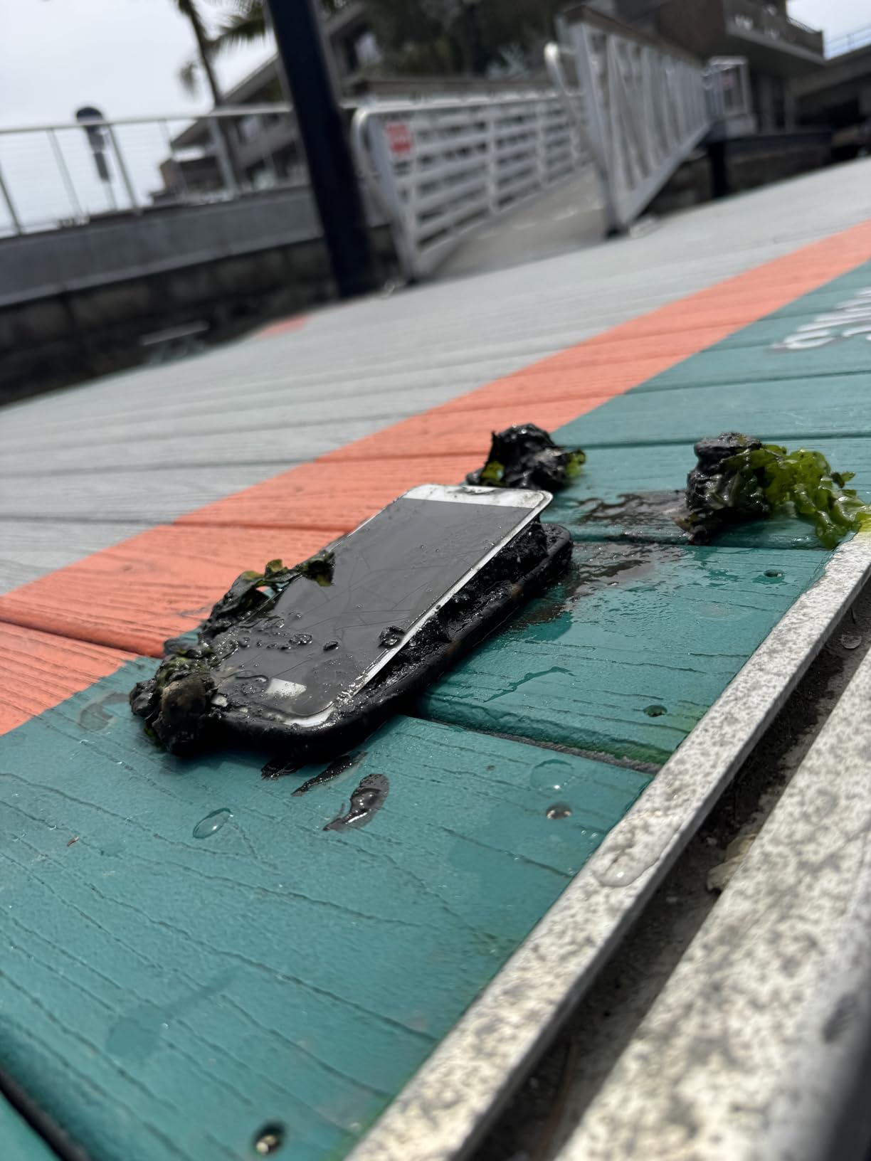 WINDFIRE TS08 Dive Light Super Bright, Scuba Flashlight Rechargeable, IP68 Waterproof 197 ft Depth Underwater Flashlight, 3 Modes & Power Indicator, Snorkeling Torch for Night Diving customer photo 1