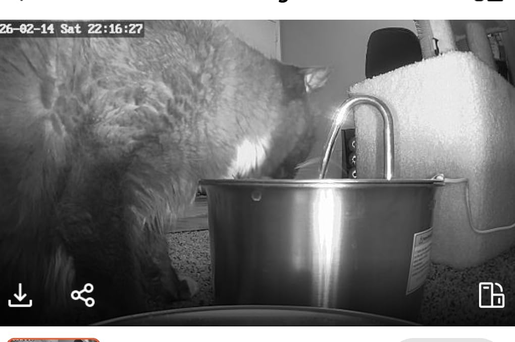 Cat Water Fountain Stainless Steel: Cat Fountain for Drinking - 88oz/2.6L Pet Water Fountain for Cats Indoor - Quiet Cats Water Bowl Dispenser - Pets Feeding & Watering Supplies - for Small Animals customer photo 1