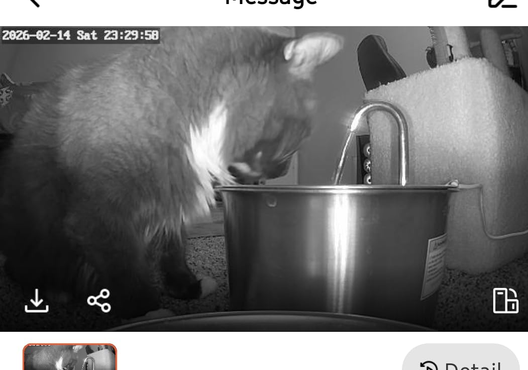 Cat Water Fountain Stainless Steel: Cat Fountain for Drinking - 88oz/2.6L Pet Water Fountain for Cats Indoor - Quiet Cats Water Bowl Dispenser - Pets Feeding & Watering Supplies - for Small Animals customer photo 2