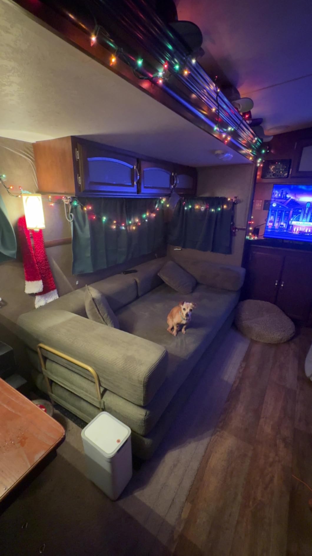 4-in-1 Folding Convertible Sofa Bed, 78 Inch Boneless Couch with Fixed-Shape Frame, Corduroy Loveseat Sleeper with Pull Out Bed, Floor Sofa Modular Futon Couch for Living Room Bedroom Lounge (Beige) customer photo 2