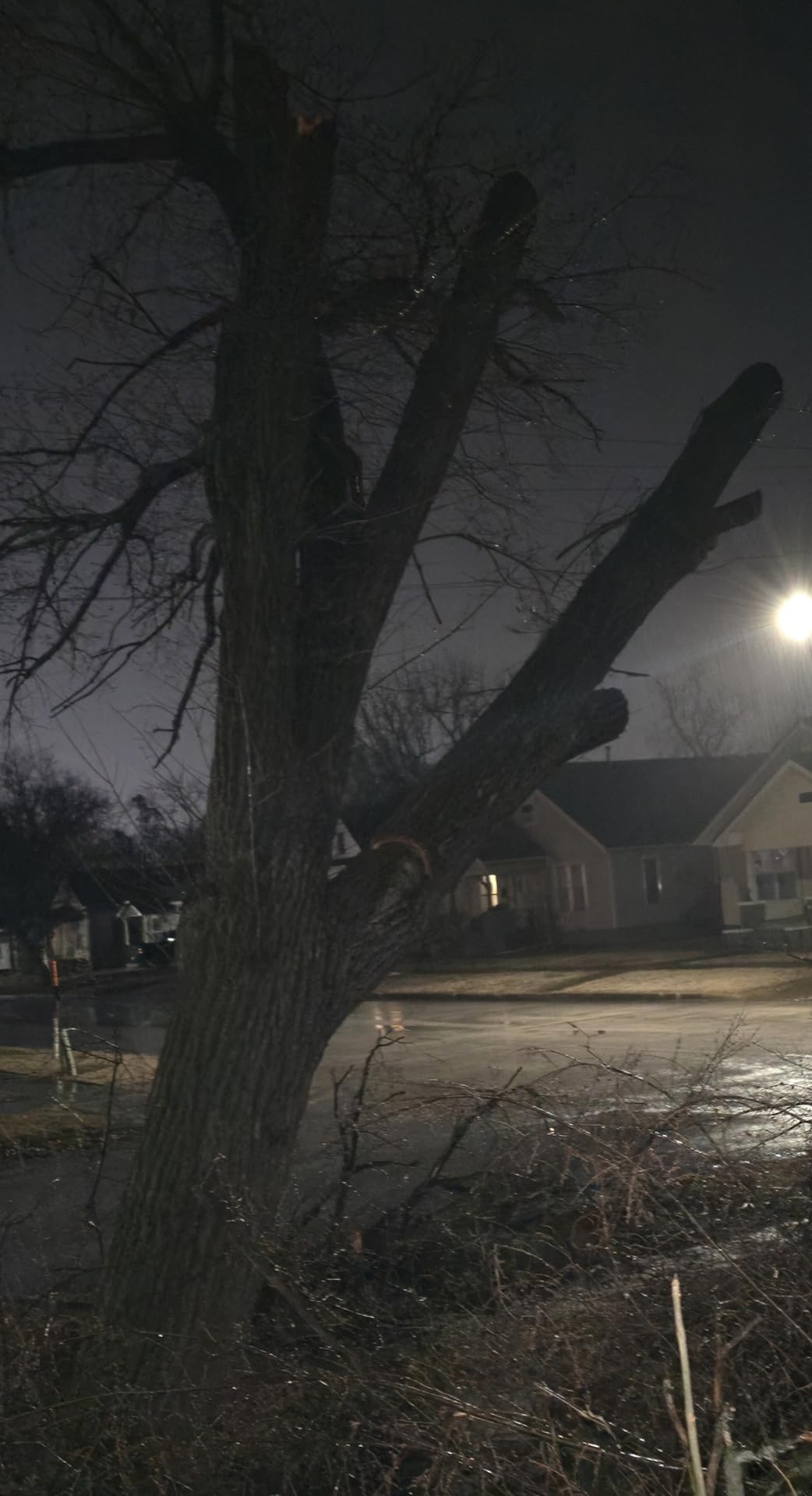 NEO-TEC 20 Inch 62CC Gas Powered Chainsaw 2-Cycle Petrol 3.5HP Handheld Reliable Motosierra De Gasolina for Tree Pruning Wood Cutting Firewood Preparation & Yard Maintenance customer photo 1