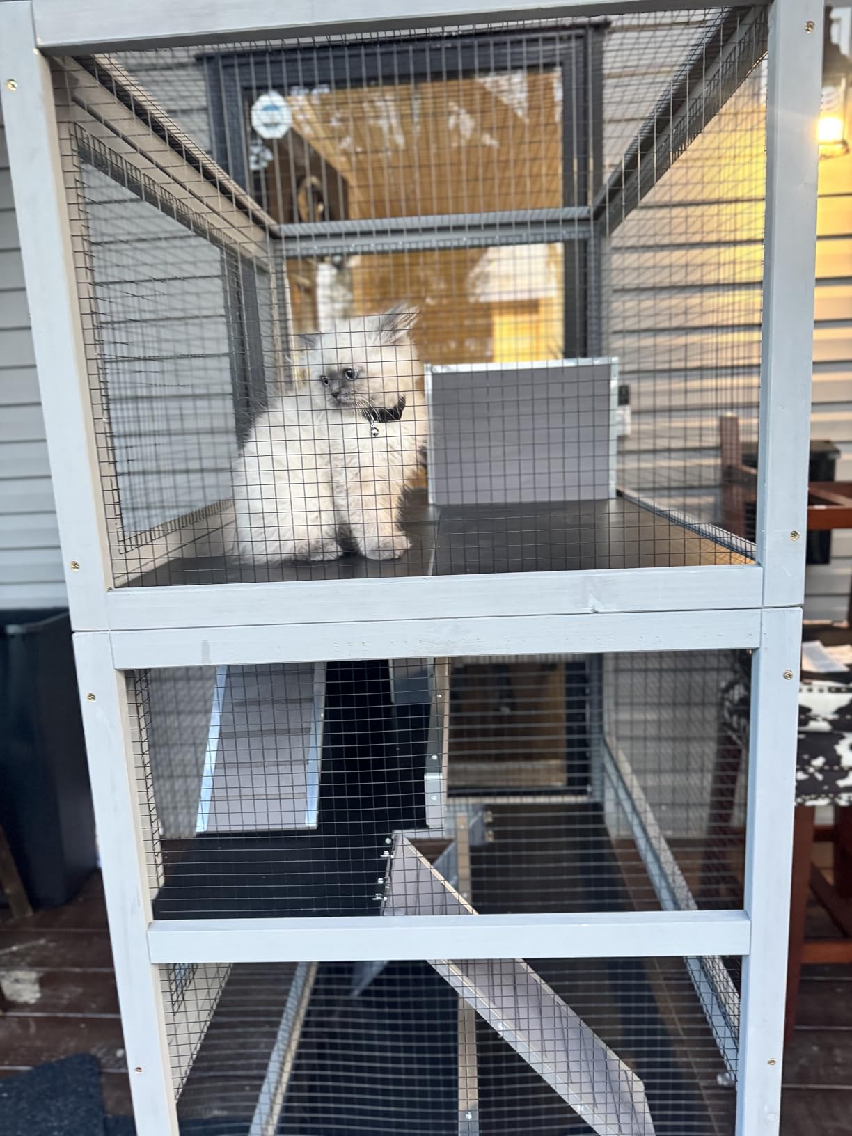 GUTINNEEN Large Chinchilla Cage, 4 Levels Ferret Cage - Large Critter Nation Hutch with Chew-Proof Aluminium Edge & PVC Layer, Brake Wheels Moveable - for Hamster, Rat, Gerbil customer photo 1