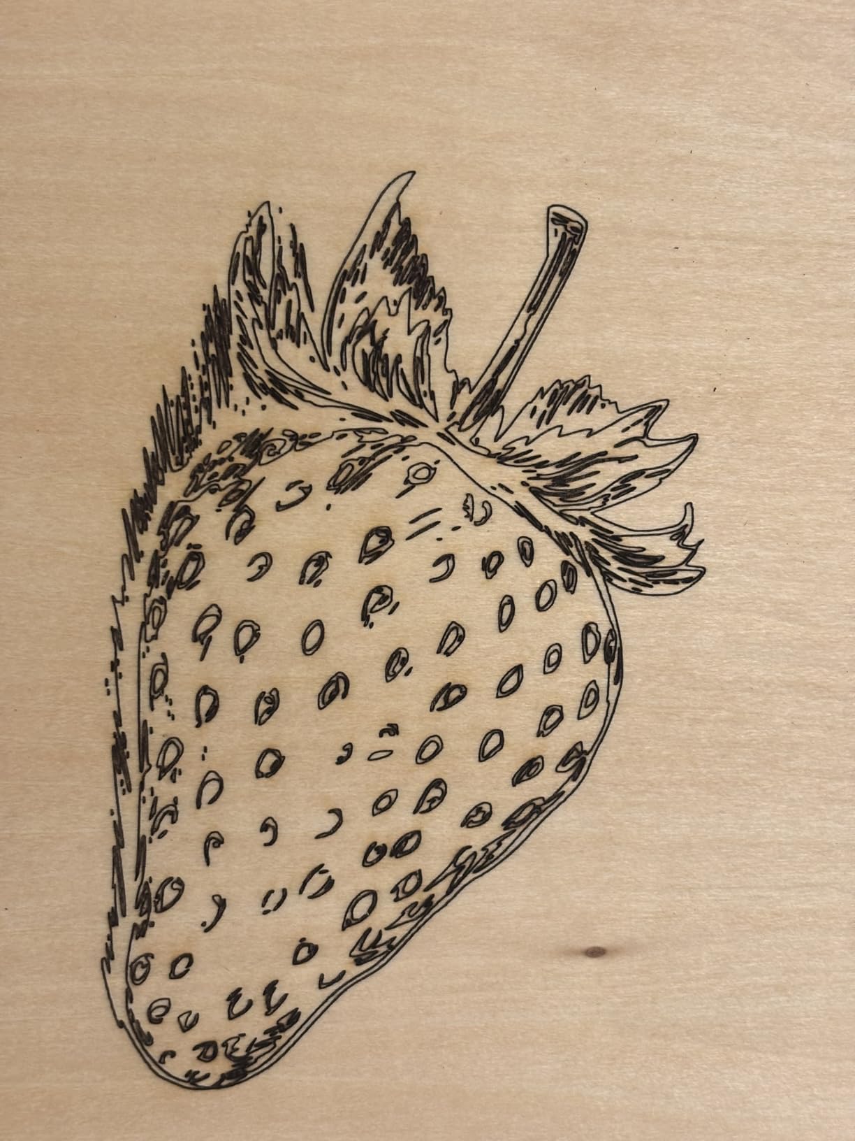 TOOCAA 40W Laser Cutter and Laser Engraver for Tumblers, 22