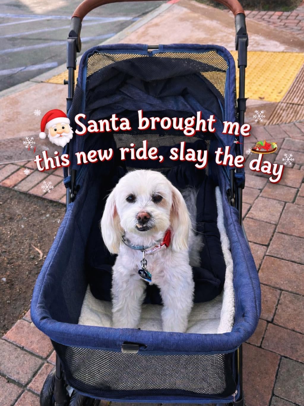 Dog Stroller for Large & Medium Dogs (20-132 lbs), Pet Stroller for 2 Small Dogs, Extra Large Heavy Duty, Foldable & Ventilated, Pink or Navy customer photo 2