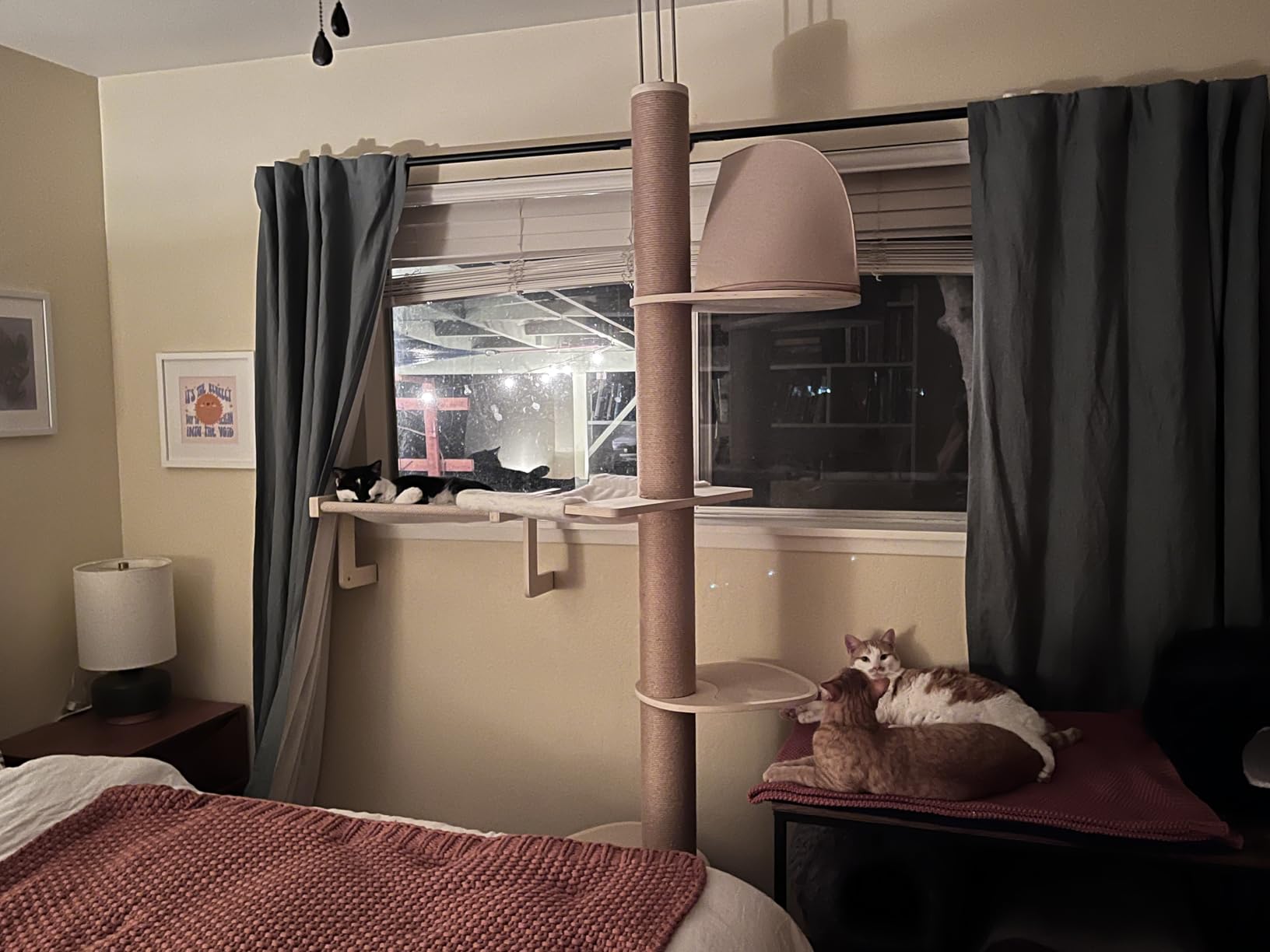 FUKUMARU Floor to Ceiling Cat Tree, 6 Level Adjustable Height (6-10 ft) Climbing Tower with Thickened Scratching Posts, Cats Activity Center with Cozy Hammock - Beige customer photo 1