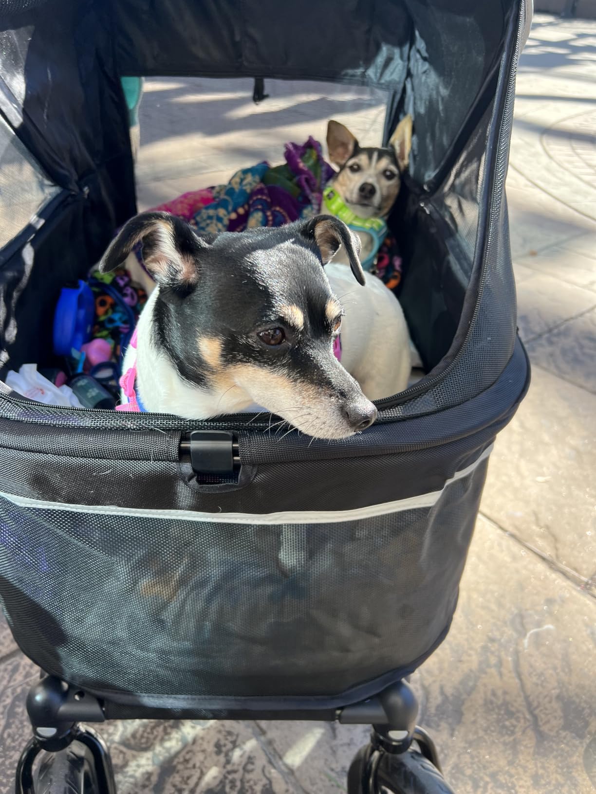 Zoosky Pet Stroller for Large Dogs up to 110lbs, Large Pet Stroller | Multiple Pets(31