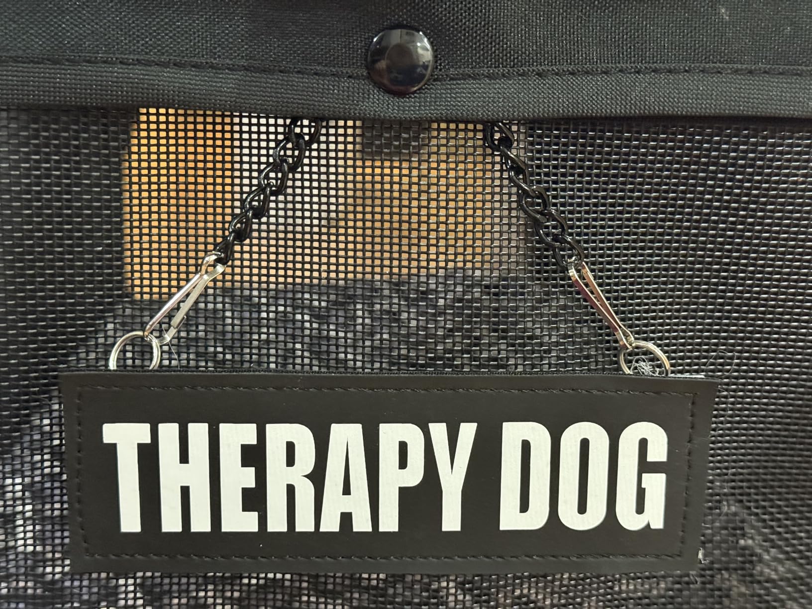 Medium Dog Stroller for Large Dogs, Pet Stroller for Medium Dogs Up to 66lbs, All-Terrain with Adjustable Handle & Canopy, Sun Shades, Storage Organizer, Waterproof Oxford Fiber customer photo 1