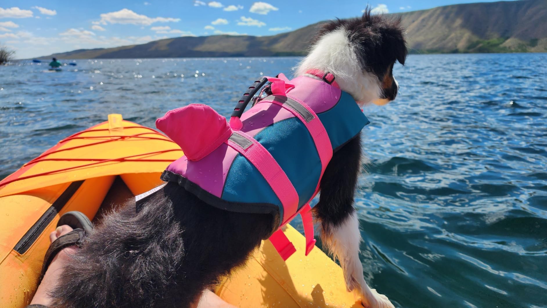 Retrospec Coaster Single & Tandem Inflatable Kayak for Adults, 220 & 440lb Weight Capacity, Lightweight with Paddle & Pump customer photo 1