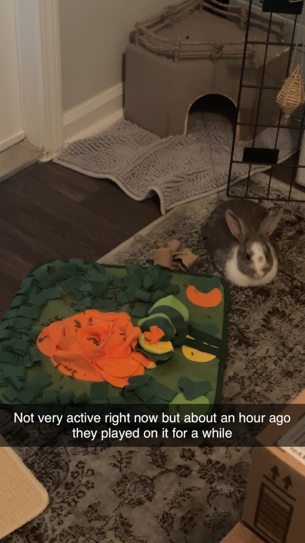 Rabbit Foraging Mat Bunny Snuffle Mat for Small Animals Interactive Puzzle Toy Feed Mat for Rabbits Bunnies Guinea Pigs Hamsters Puppies Chinchillas Kitten 17.7 Inches customer photo 2