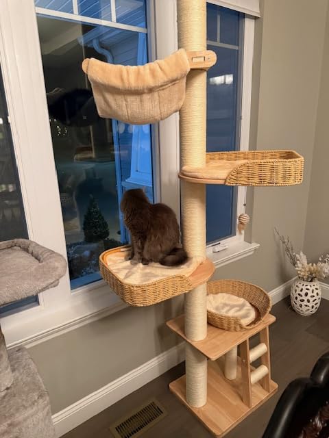 Floor to Ceiling Cat Tree with Scratching Posts, Adjustable Height(77-105 Inches), Corner Tall Cat Tower with Woven Condos & Ladder, Large Sturdy Cat Tower for Indoor Cats customer photo 1