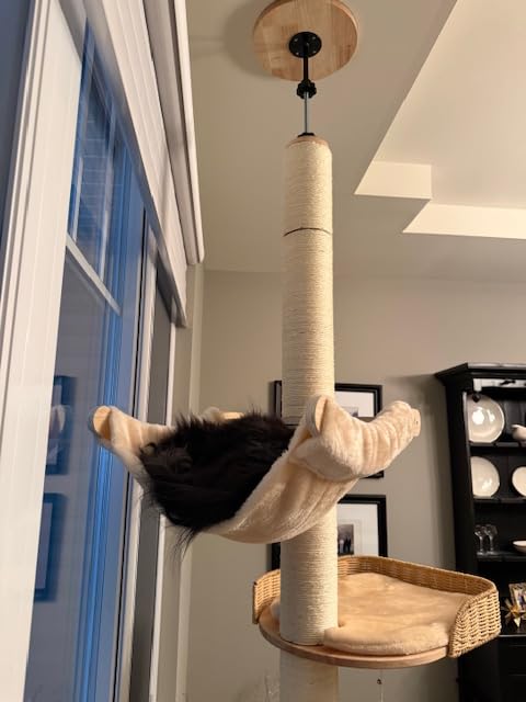 Floor to Ceiling Cat Tree with Scratching Posts, Adjustable Height(77-105 Inches), Corner Tall Cat Tower with Woven Condos & Ladder, Large Sturdy Cat Tower for Indoor Cats customer photo 2