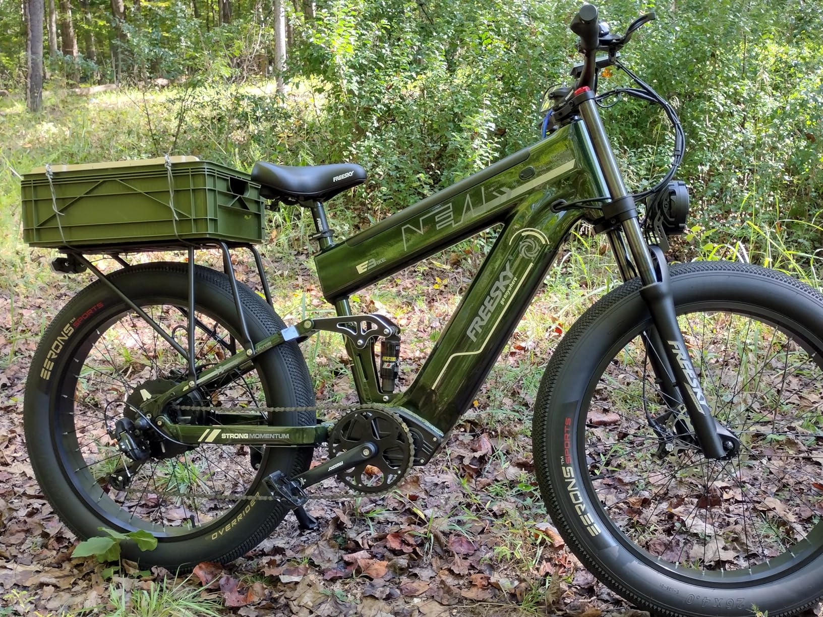 FREESKY Dual Battery Electric Bike for Adults, 48V 41AH 160 Miles Long Range E Bike, 4000W Motor 40MPH+, 26