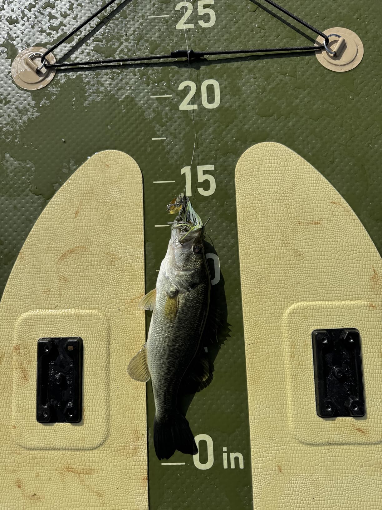 ZLX 11'6''x42'' Extra Wide Inflatable Fishing Paddle Board for Adults- Stable Non-Slip Deck Pad, Dual Reinforced Sides & Quiet Glide, 400lb Capacity SUP, Rod Mount, Camera Mount customer photo 1