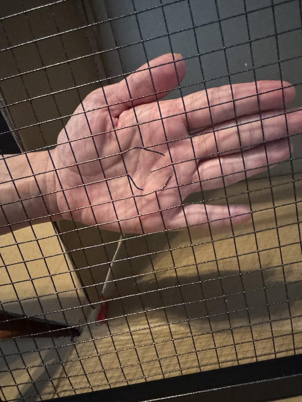 GUTINNEEN 2-Story Rabbit Hutch with Chew-Proof Full Metal Frame for Indoor/Outdoor - 62