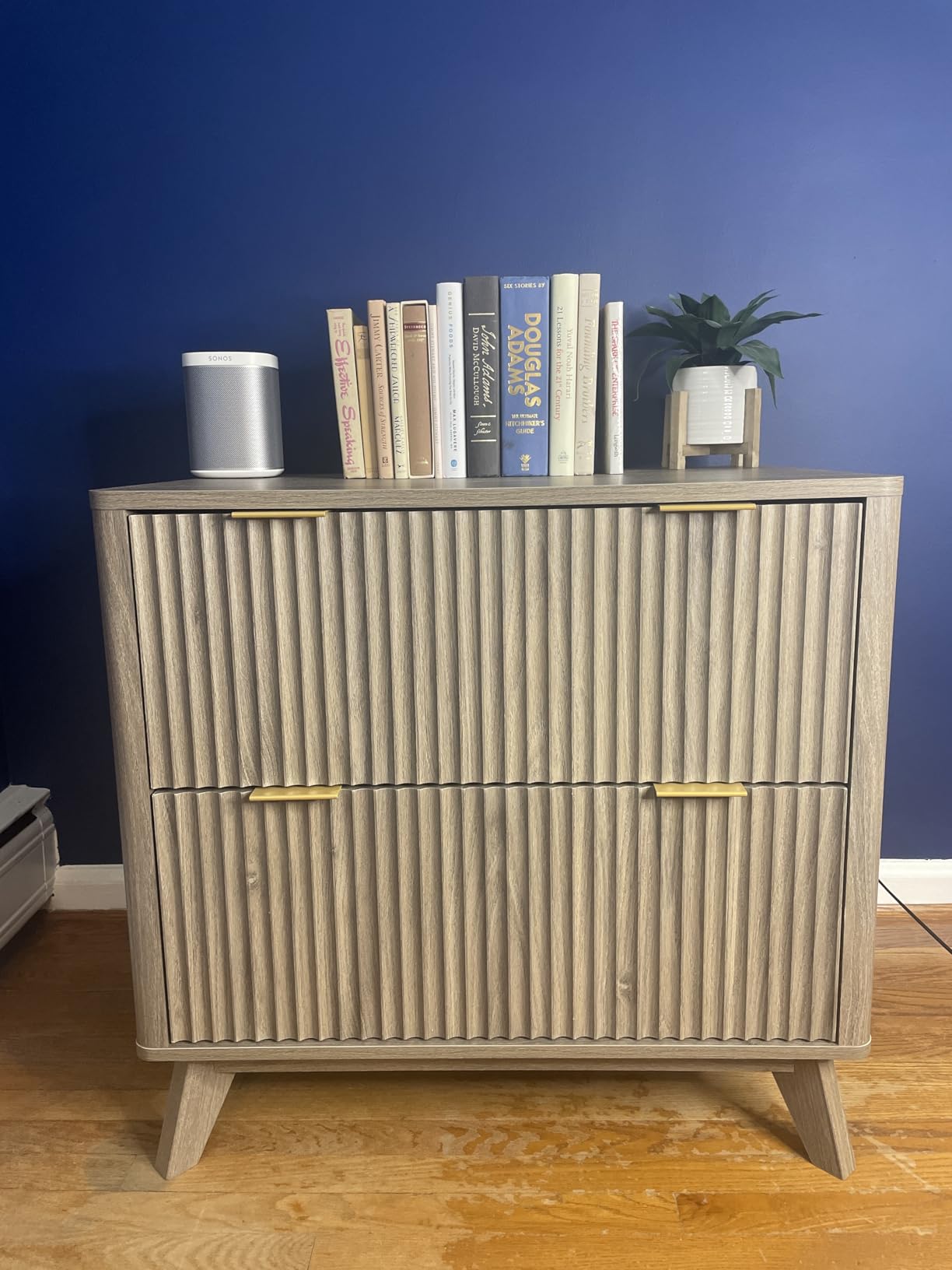 T4TREAM 2 Drawer File Cabinet, 31.8