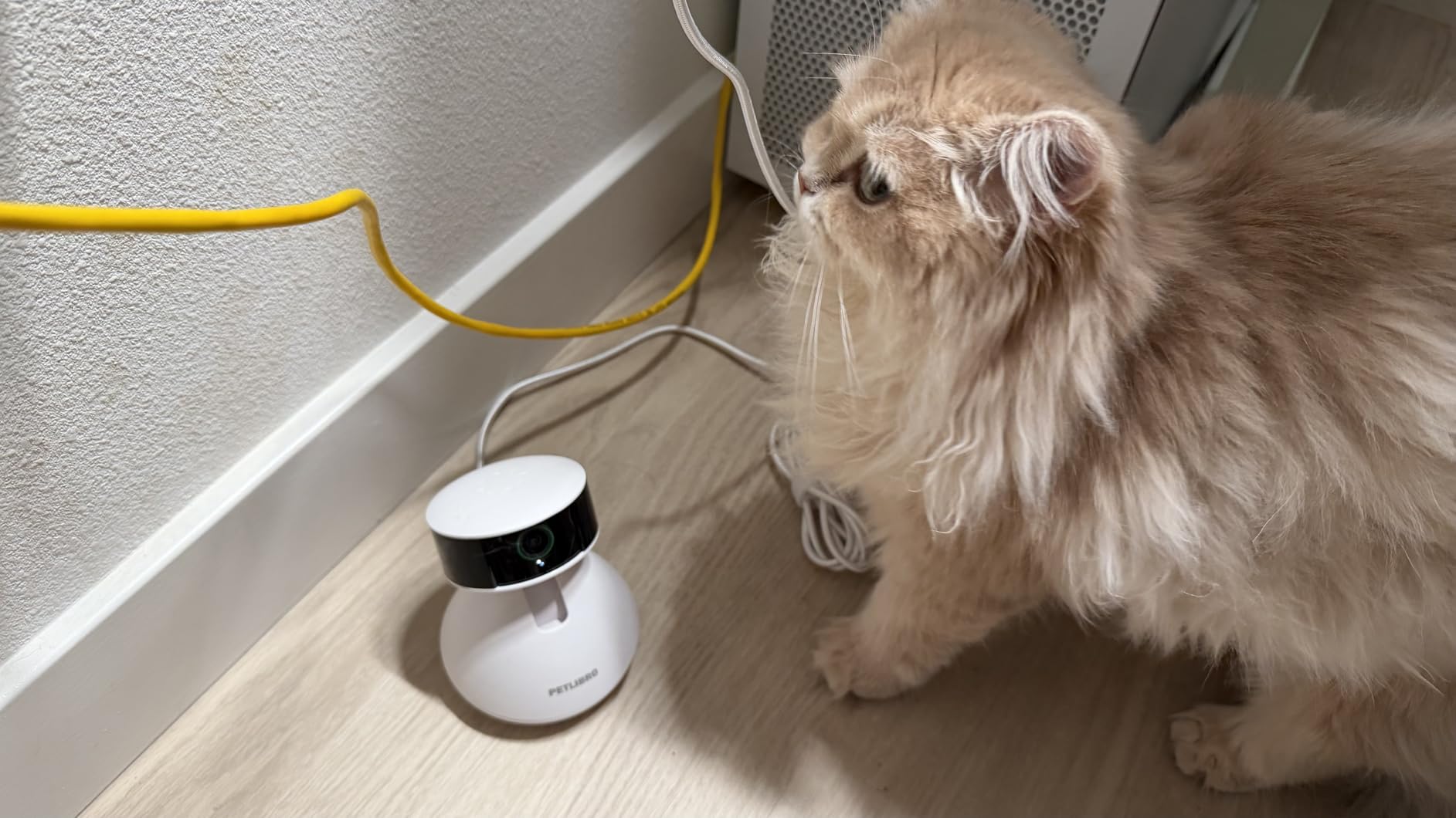 PETLIBRO AI Dog Camera Pet Camera Indoor with Phone App [Multi-Pet Recognition, Daily Activity Analysis & Smart Summaries] Cat Cam 360° View, 1080P Dog Cam Night Vision, 2-Way Audio Home Camera WiFi customer photo 2