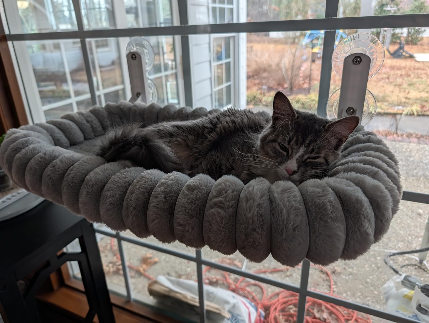 Zakkart SnugCloud Foldable Cat Window Perch - Cordless, Ultra Soft Machine Washable Bed with 4-Sided Bolster, Metal Frame - Window Hammock for Large Cats and Kittens (Cream White, Medium) customer photo 2